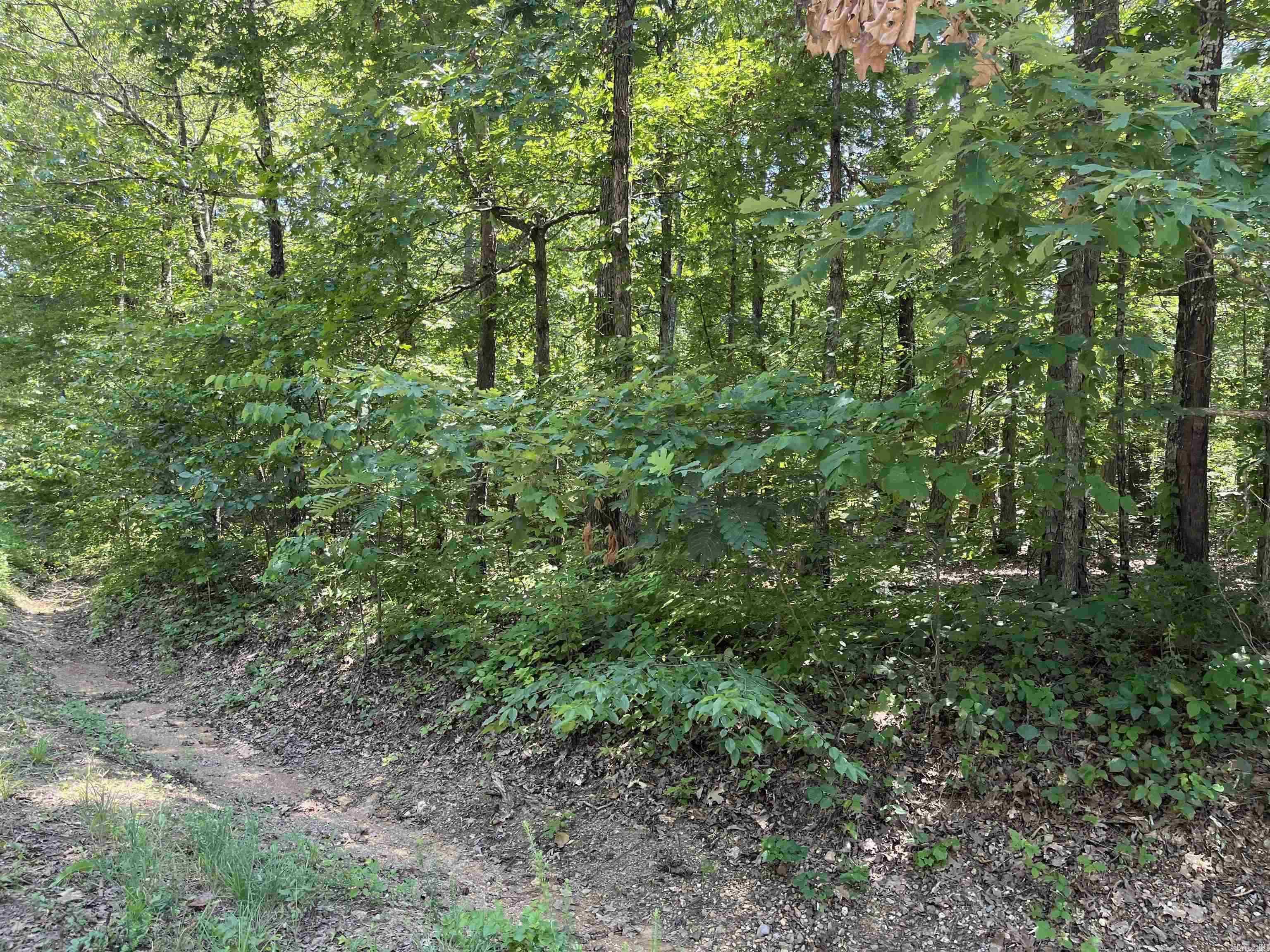 106  Murillo Way  Hot Springs Village, AR
