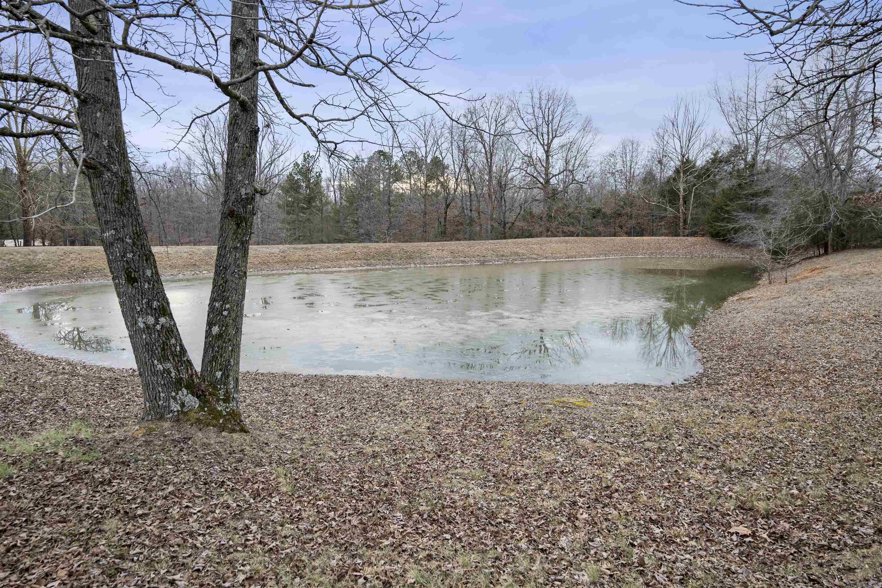 667  Hill  Pocahontas, AR