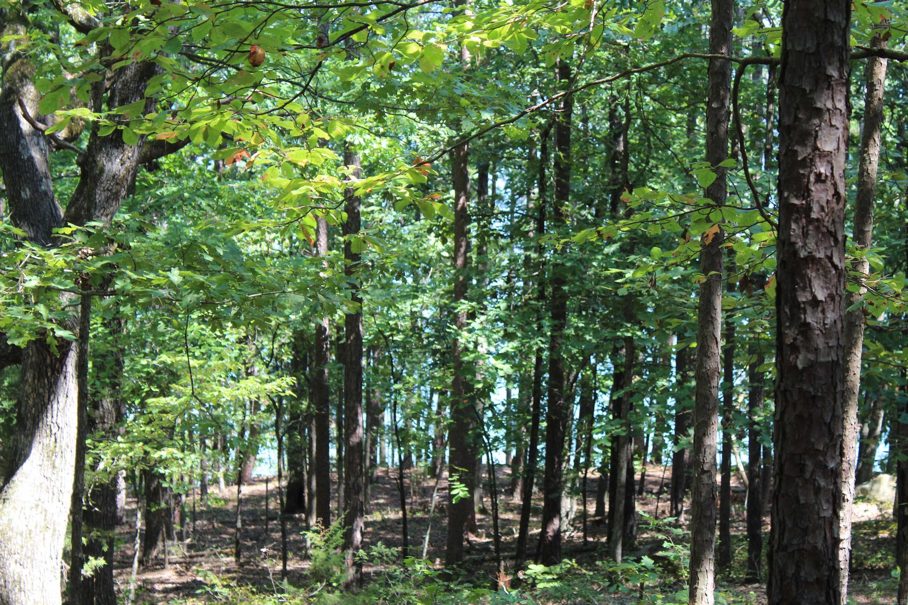 Lot 14  Lake Point  Quitman, AR