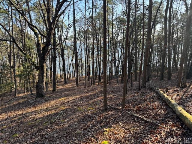Lot 14  Lake Point  Quitman, AR