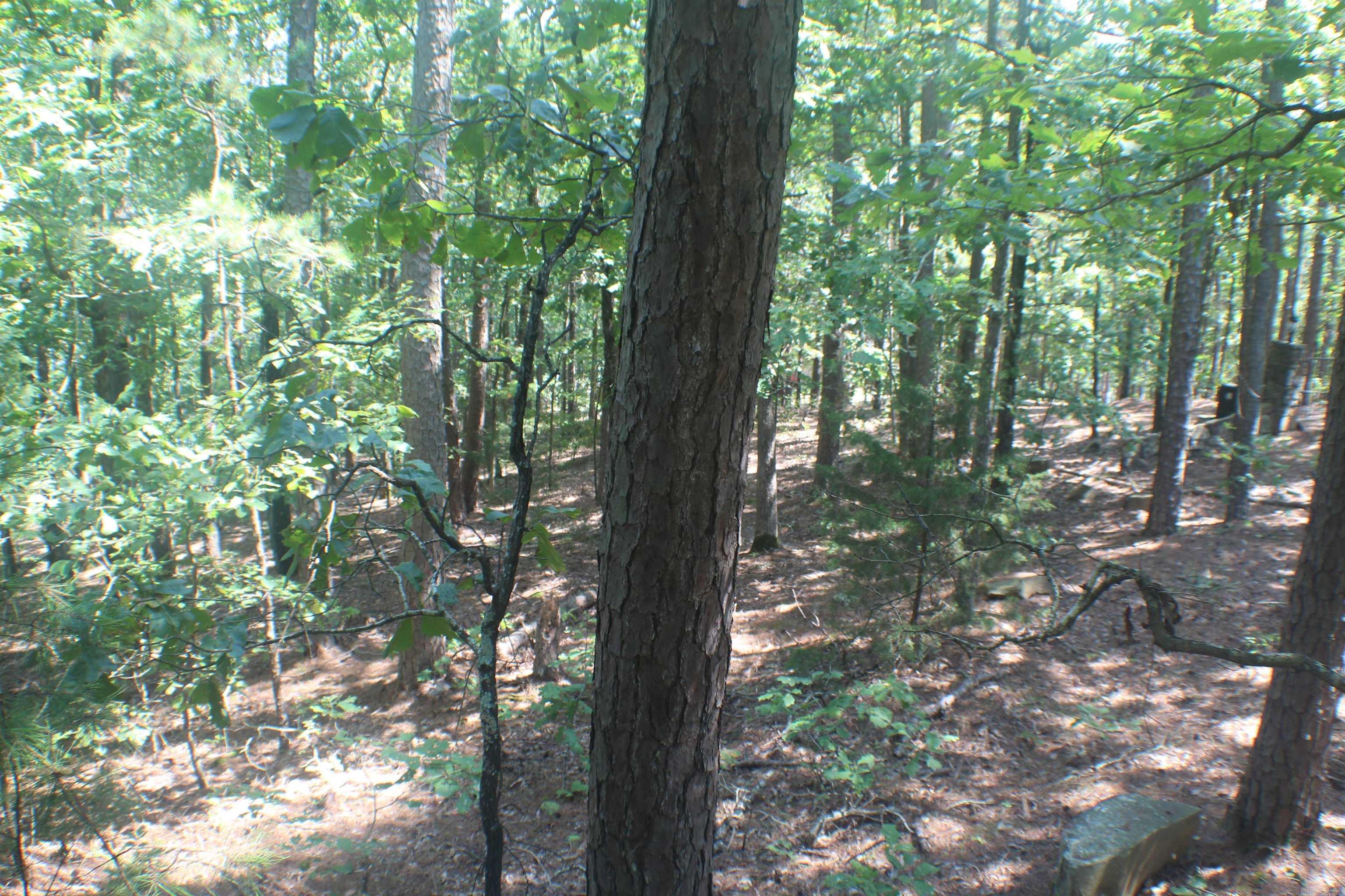 Lot 14  Lake Point  Quitman, AR