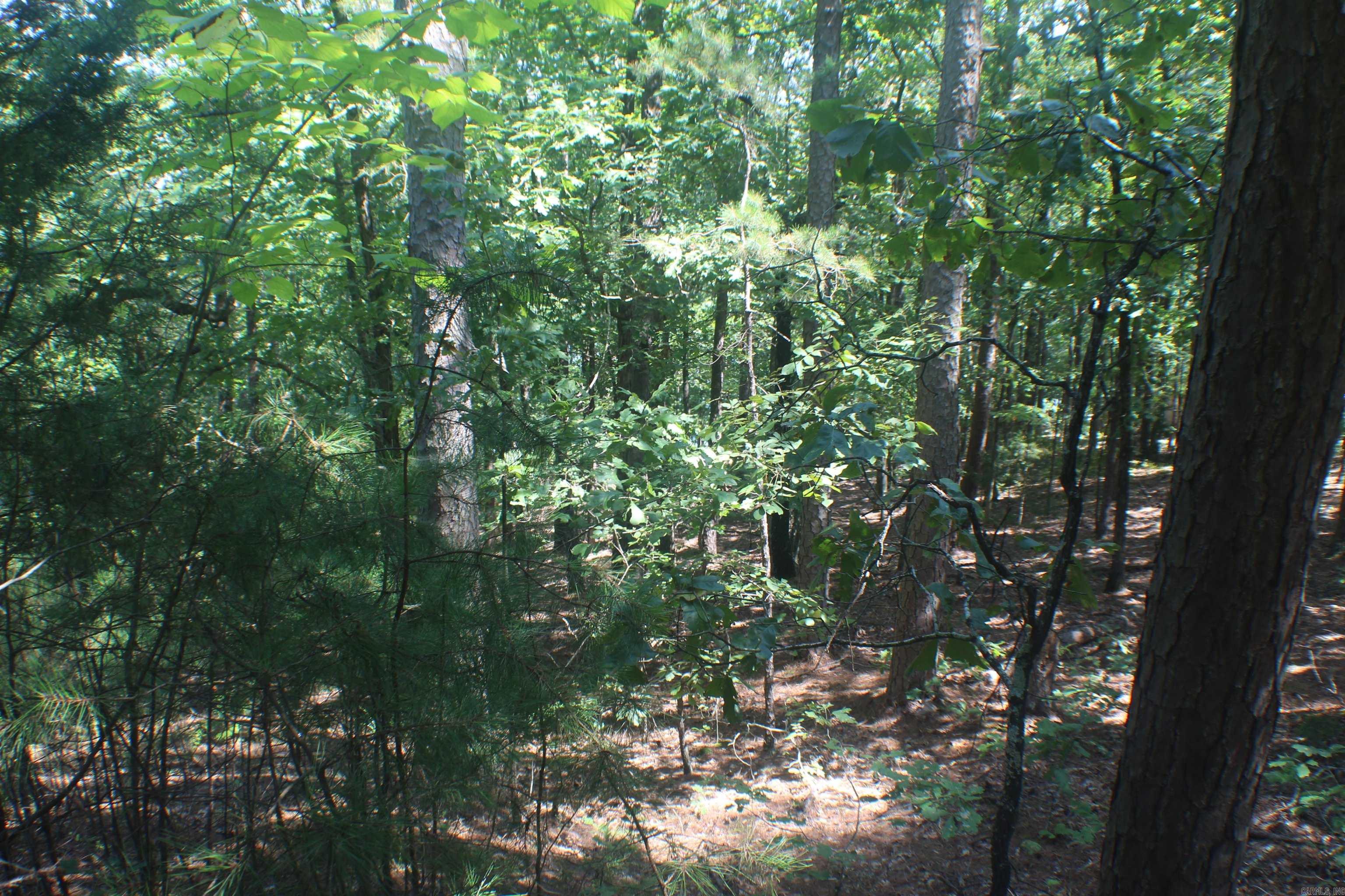 Lot 14  Lake Point  Quitman, AR
