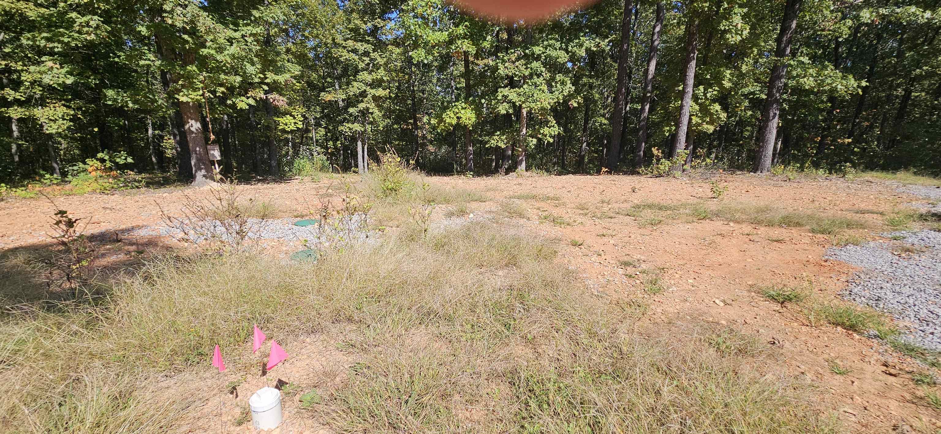 229  Elmbrook Lane  Yellville, AR