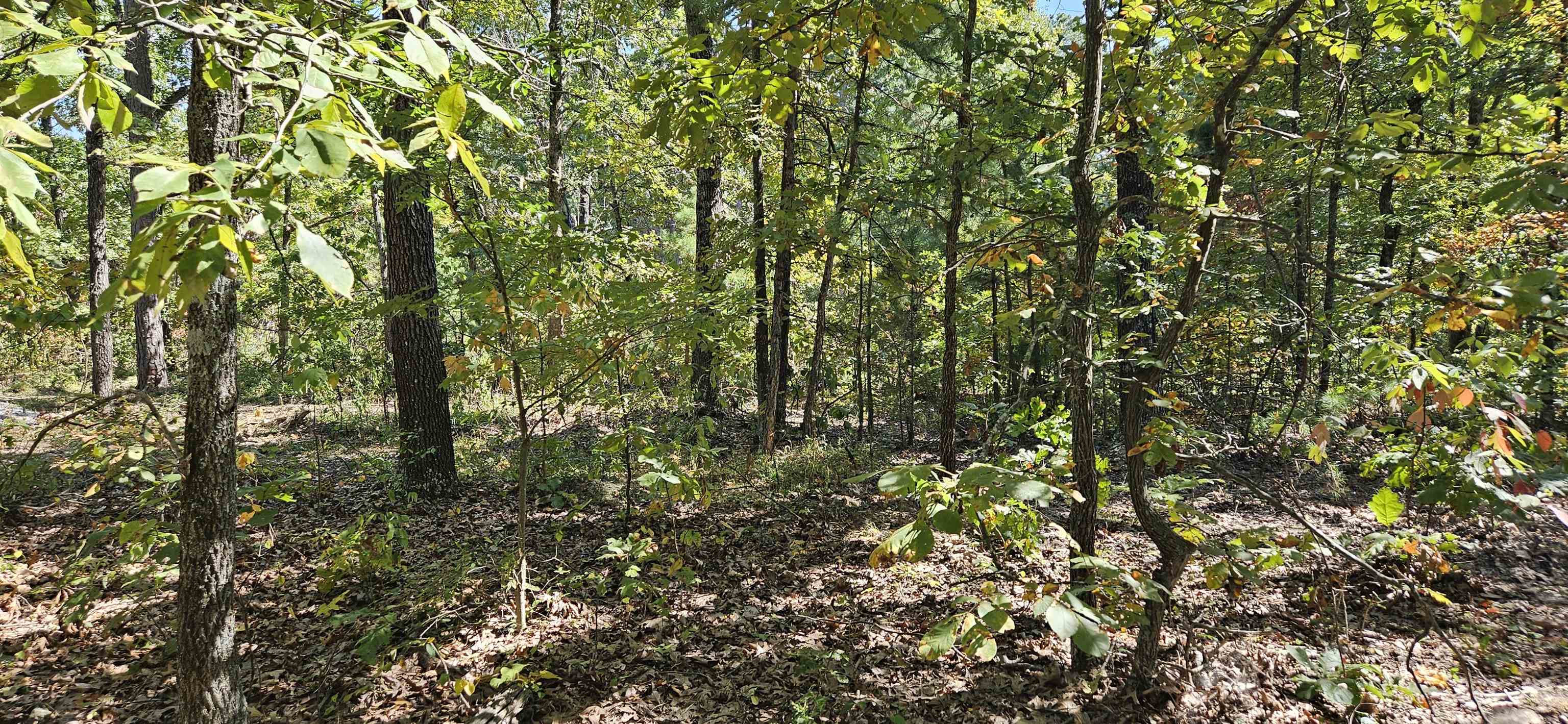 229  Elmbrook Lane  Yellville, AR