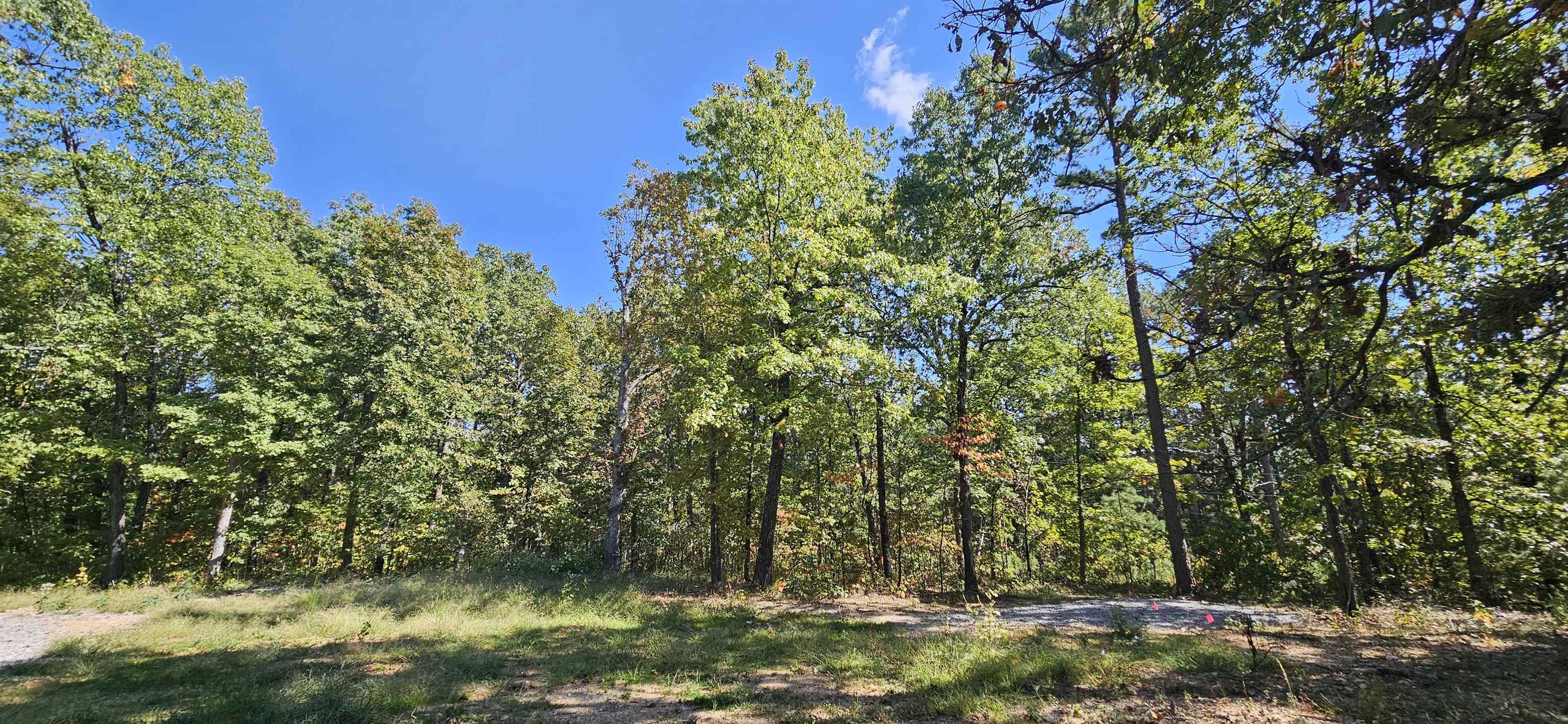 229  Elmbrook Lane  Yellville, AR