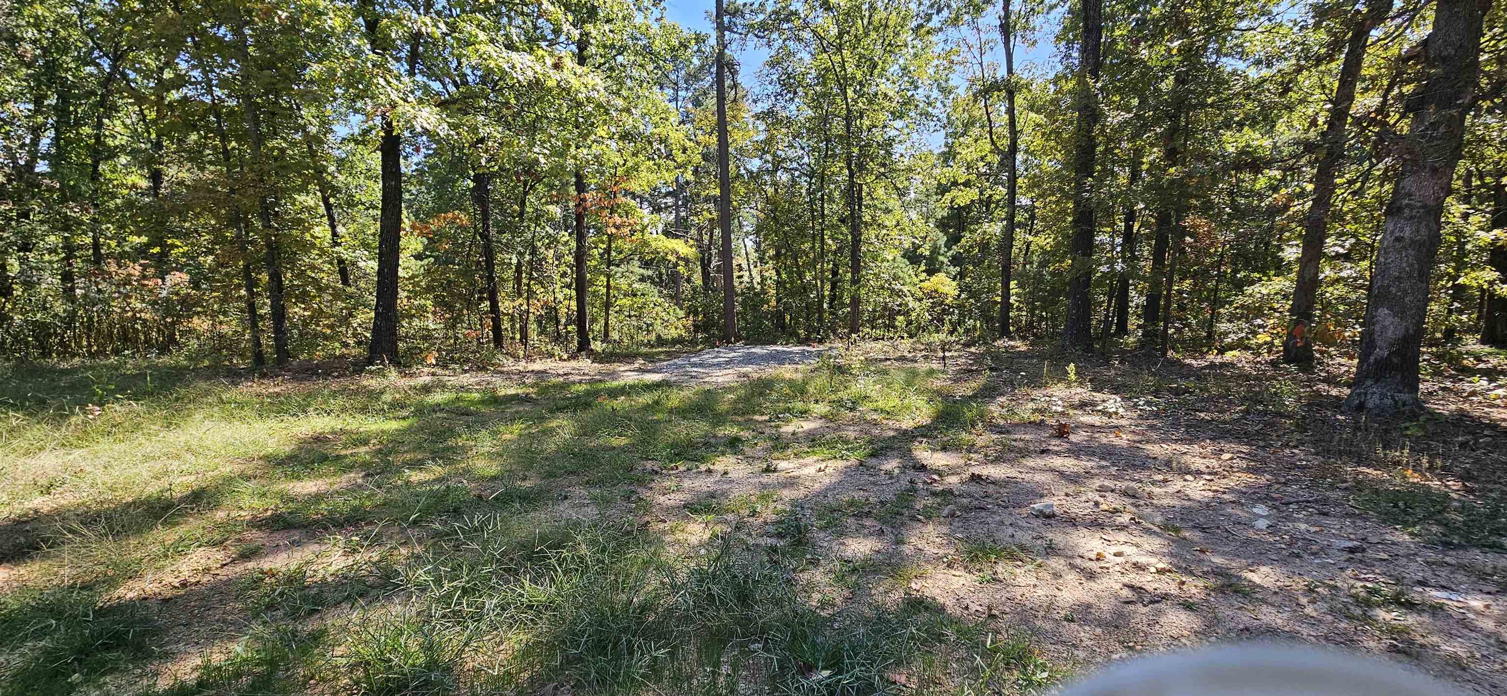 229  Elmbrook Lane  Yellville, AR