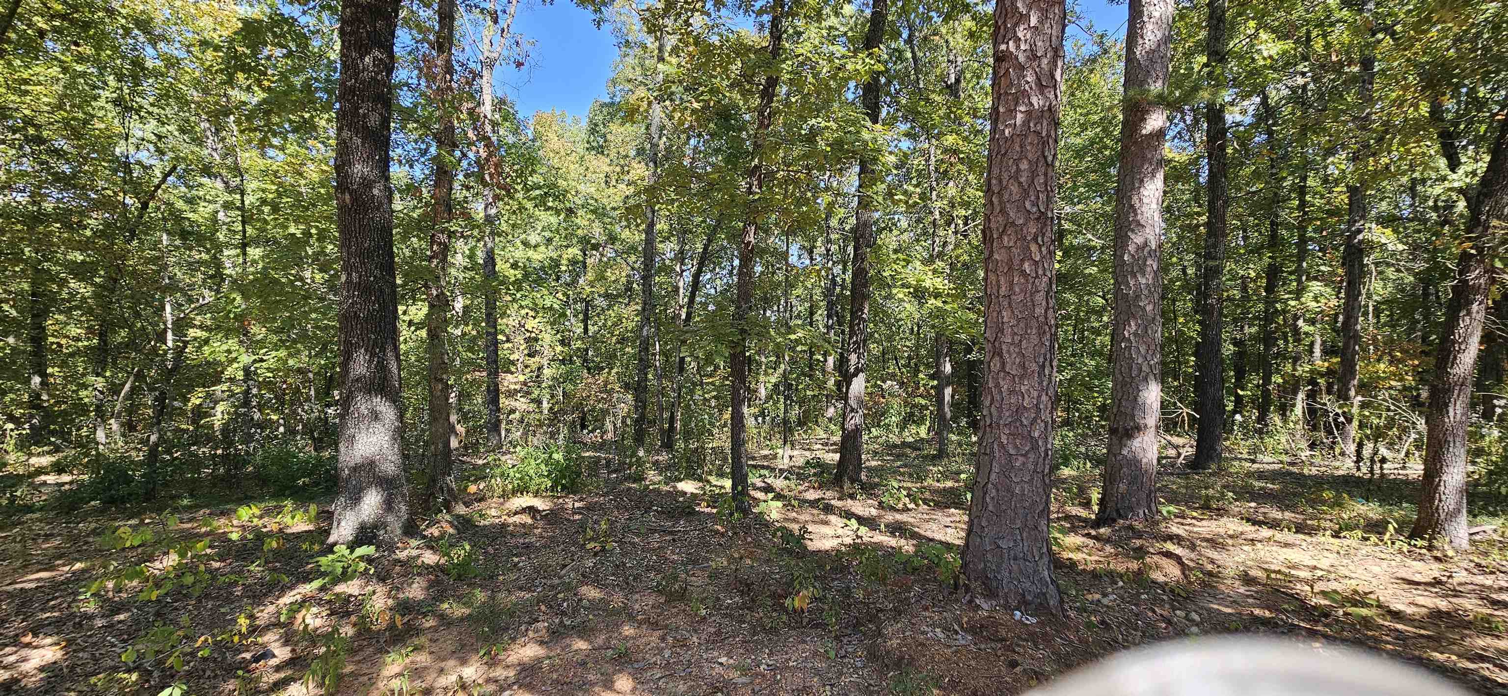 229  Elmbrook Lane  Yellville, AR