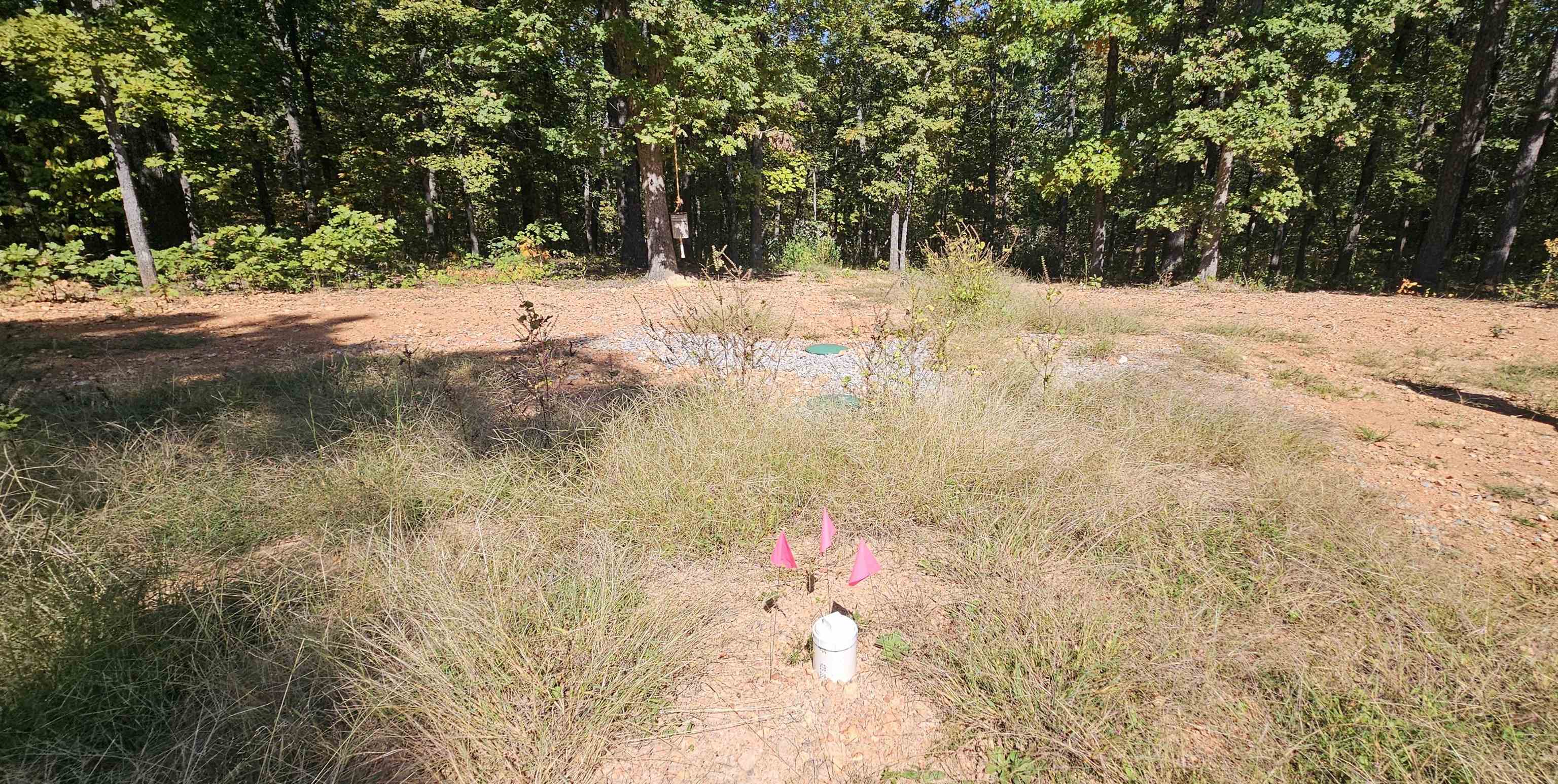 229  Elmbrook Lane  Yellville, AR