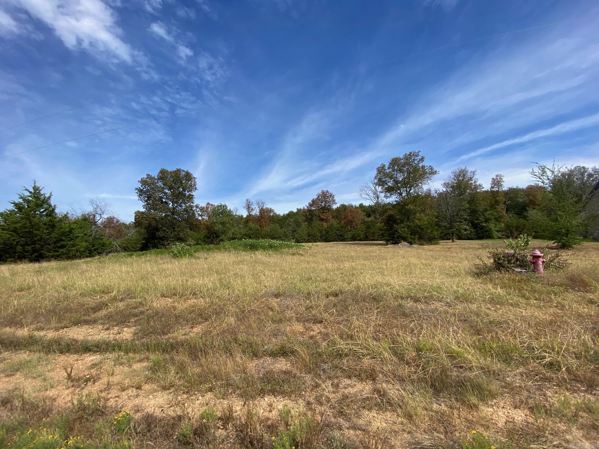 Lot 14  Castlepines  Greenbrier, AR
