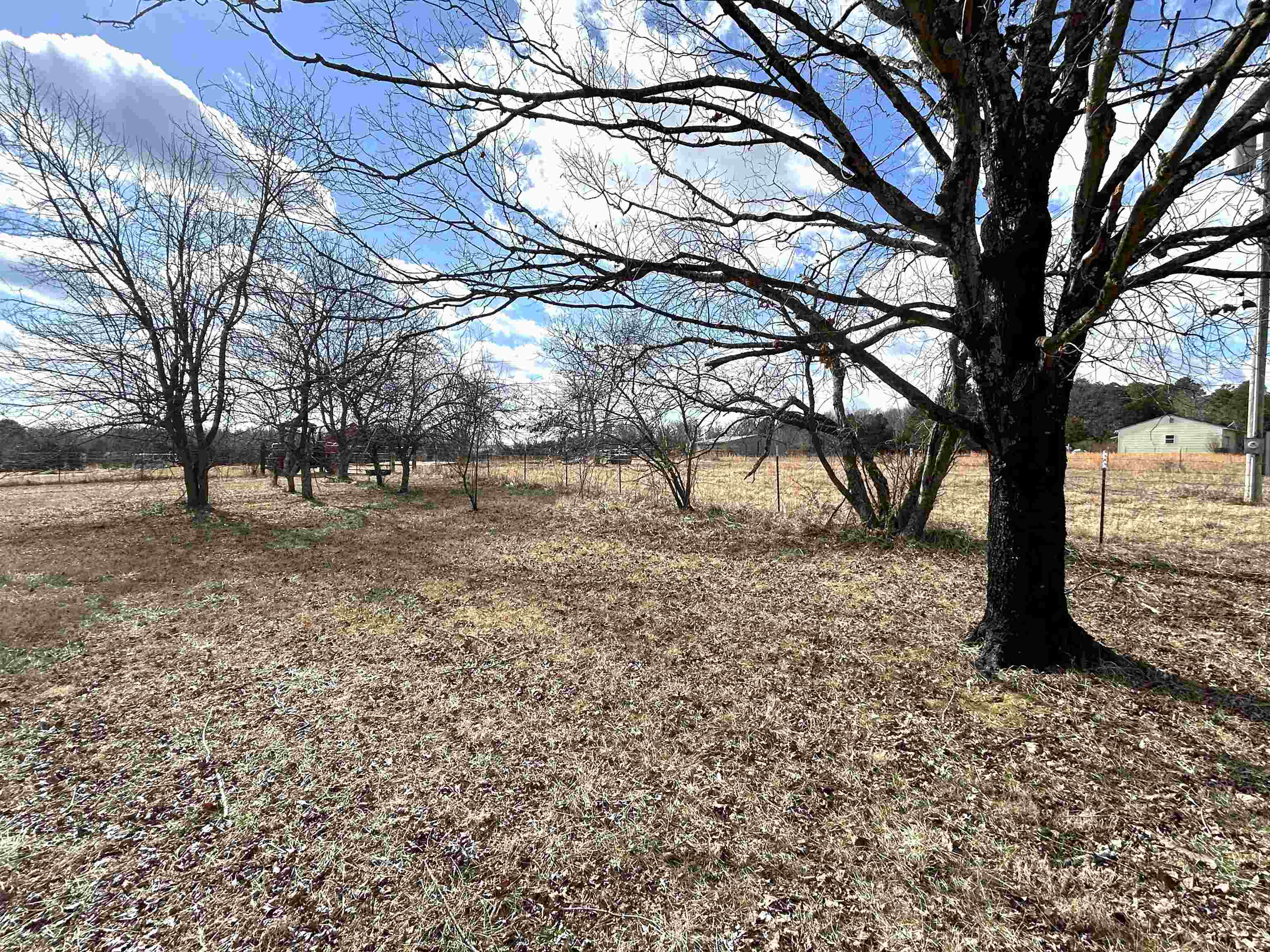 1522  County Road 404  Alton, MO