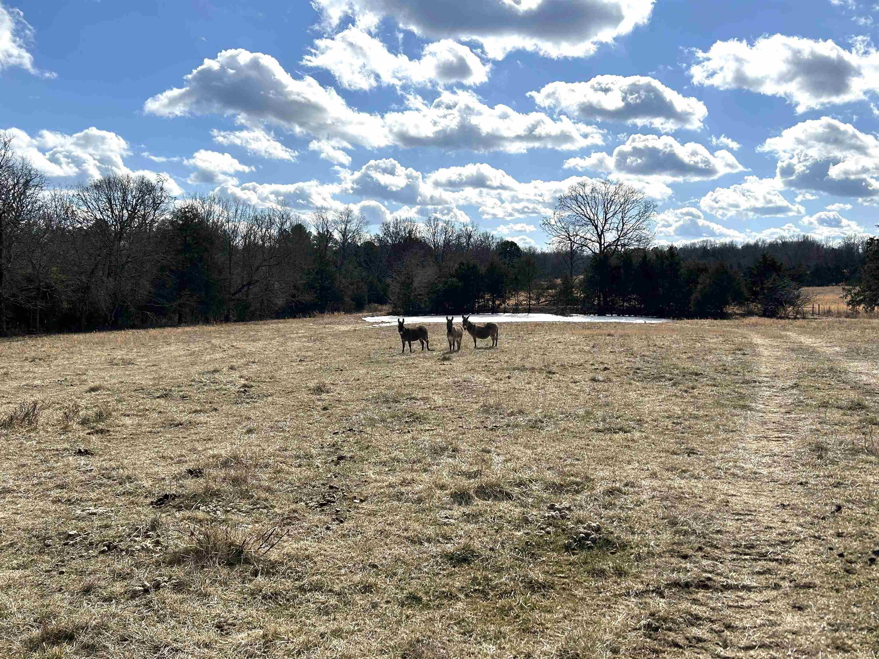 1522  County Road 404  Alton, MO