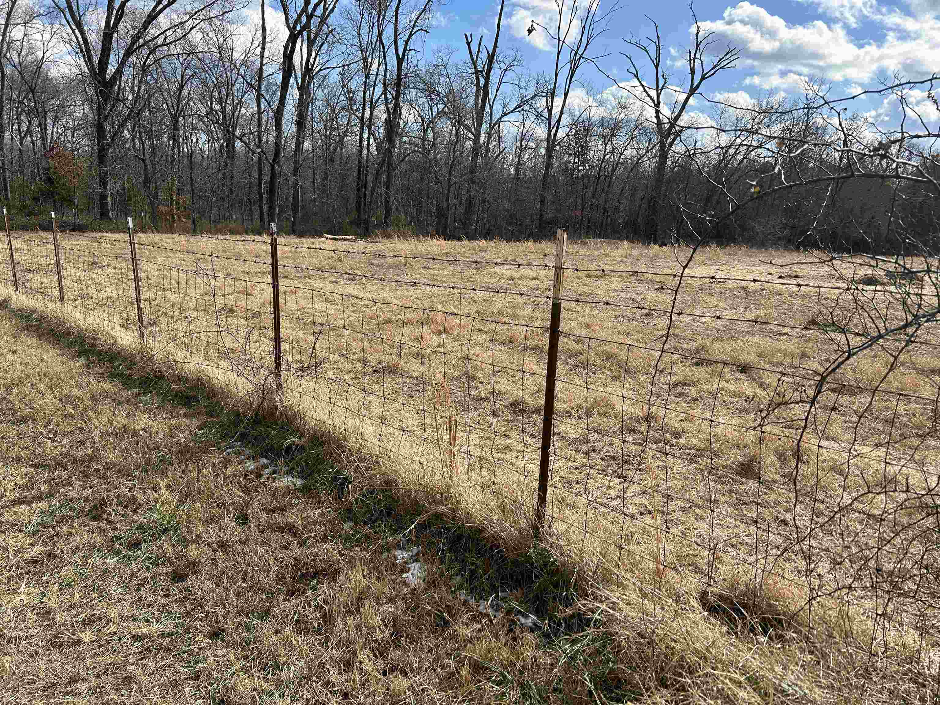 1522  County Road 404  Alton, MO