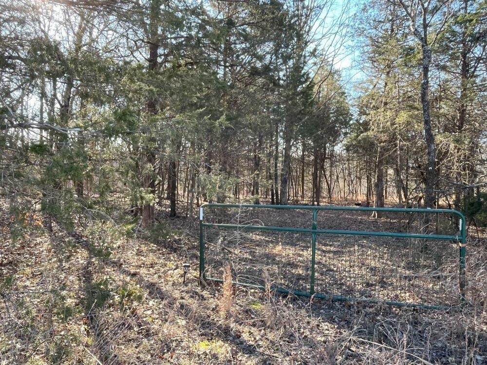 Tract D & E  MC 8094  Flippin, AR