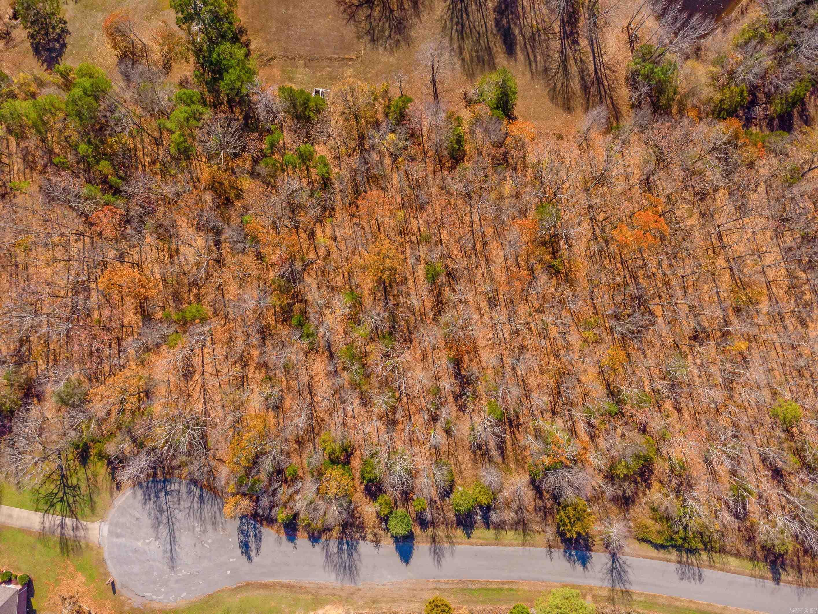 LOT 8  EAGLES NEST  Austin, AR