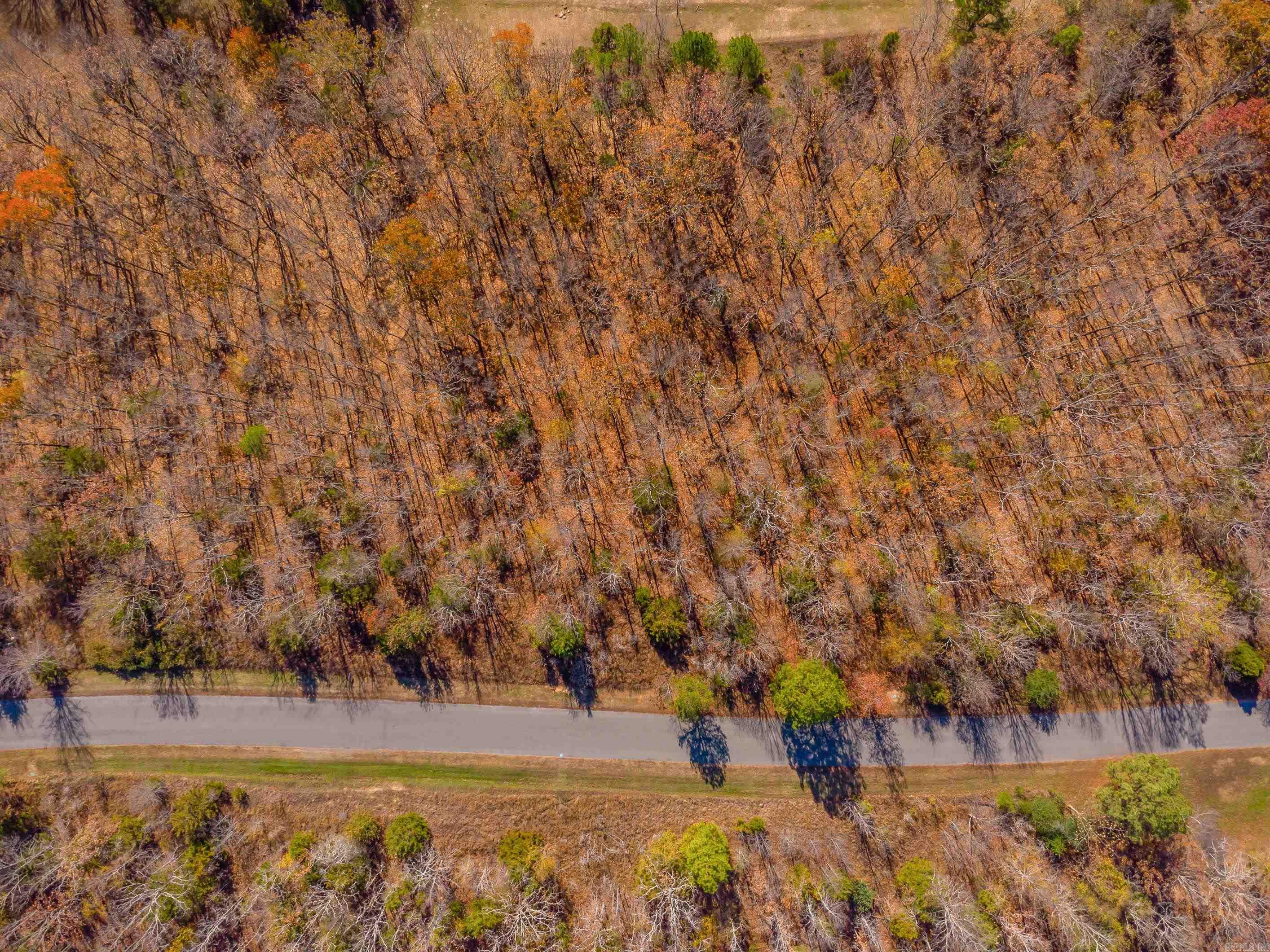 LOT 8  EAGLES NEST  Austin, AR