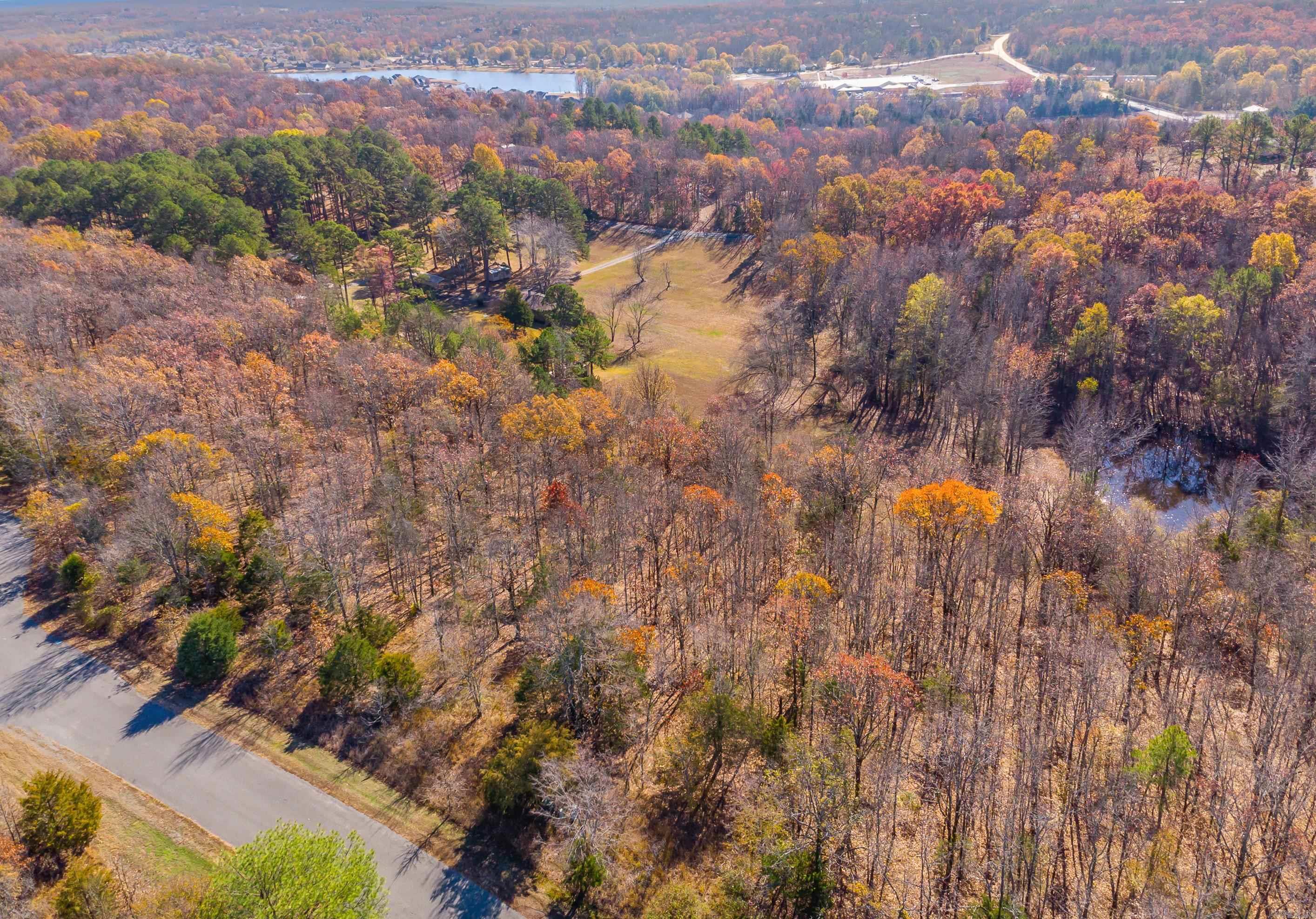 LOT 8  EAGLES NEST  Austin, AR