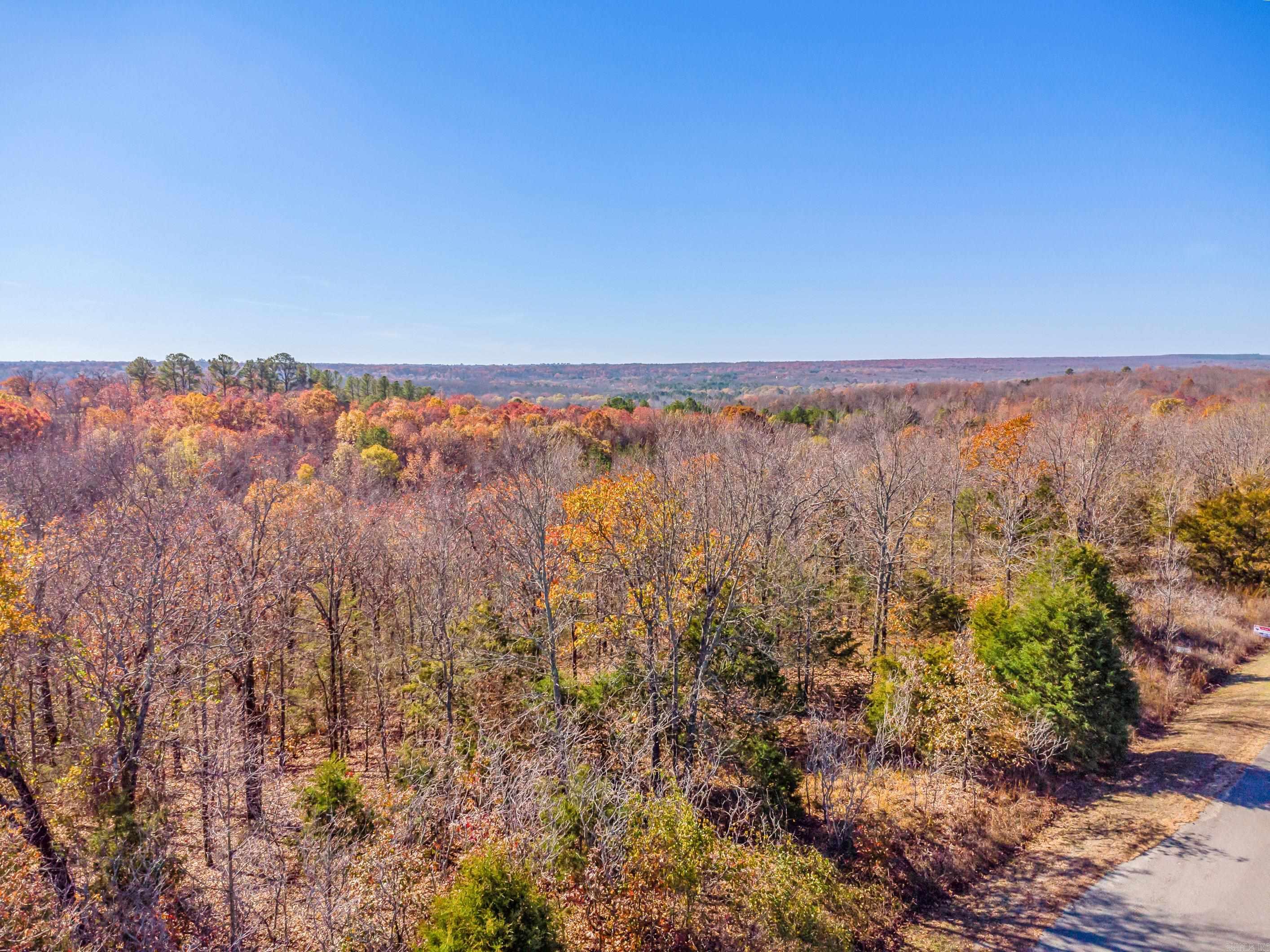 LOT 8  EAGLES NEST  Austin, AR