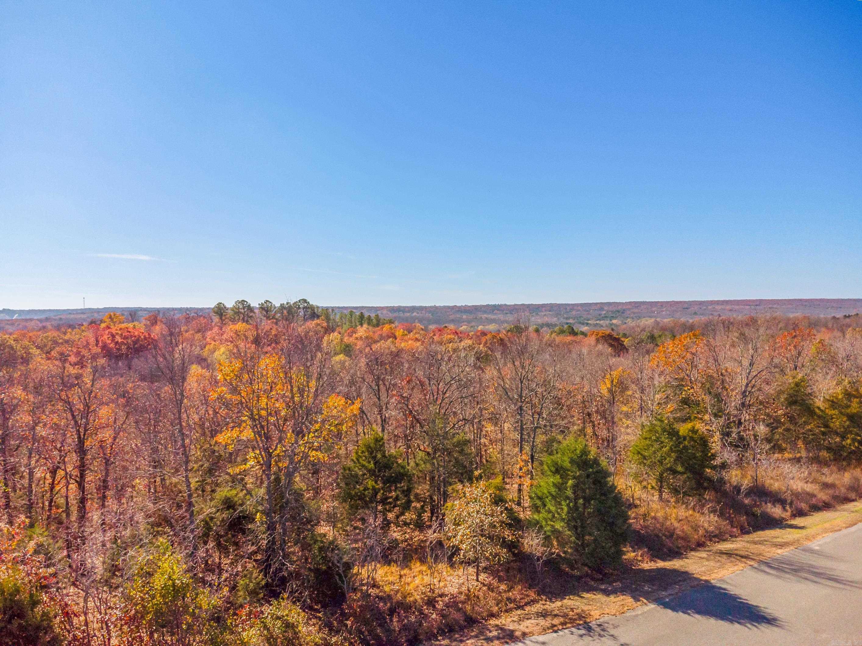 LOT 8  EAGLES NEST  Austin, AR