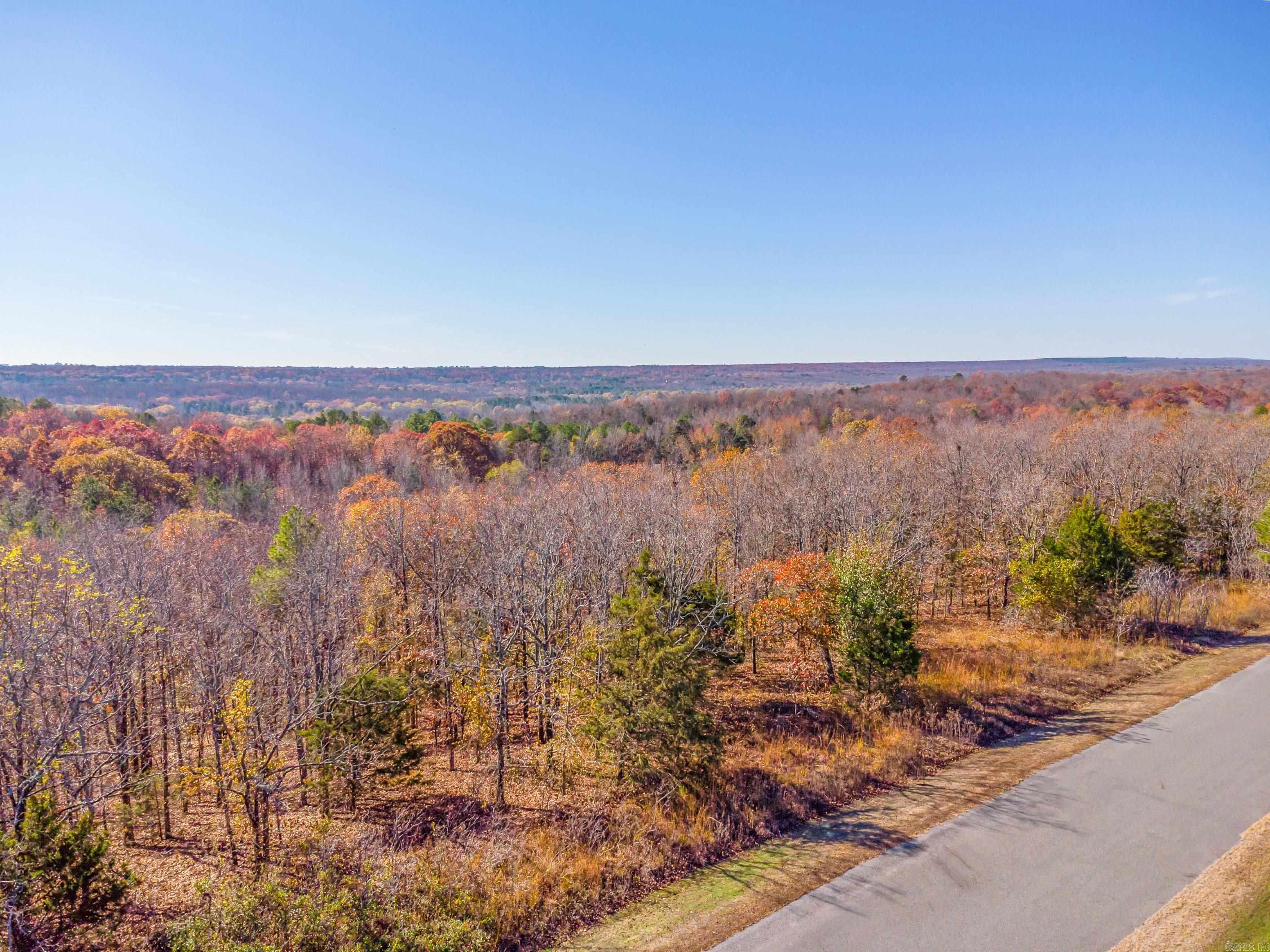 LOT 8  EAGLES NEST  Austin, AR