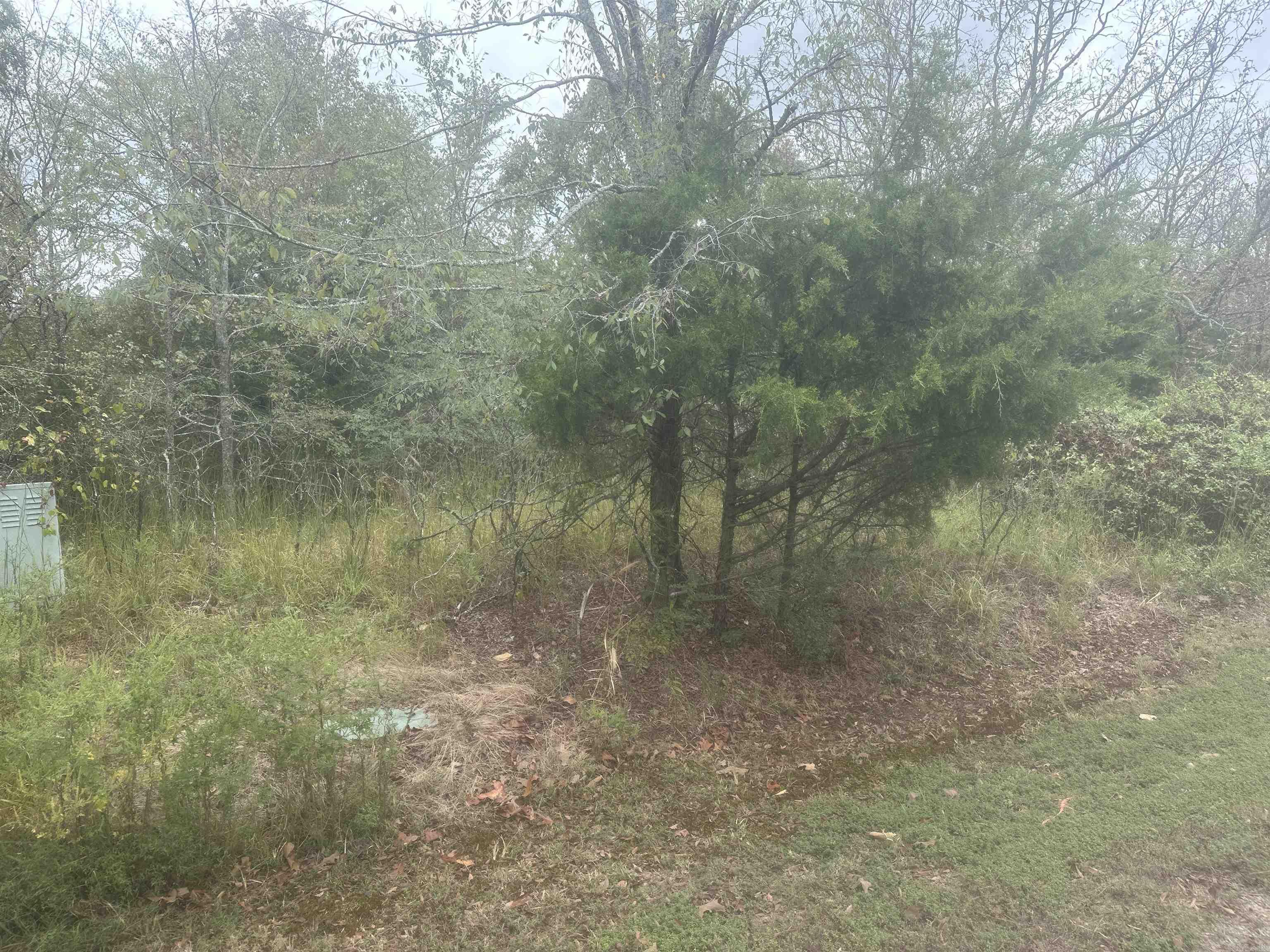 LOT 8  EAGLES NEST  Austin, AR