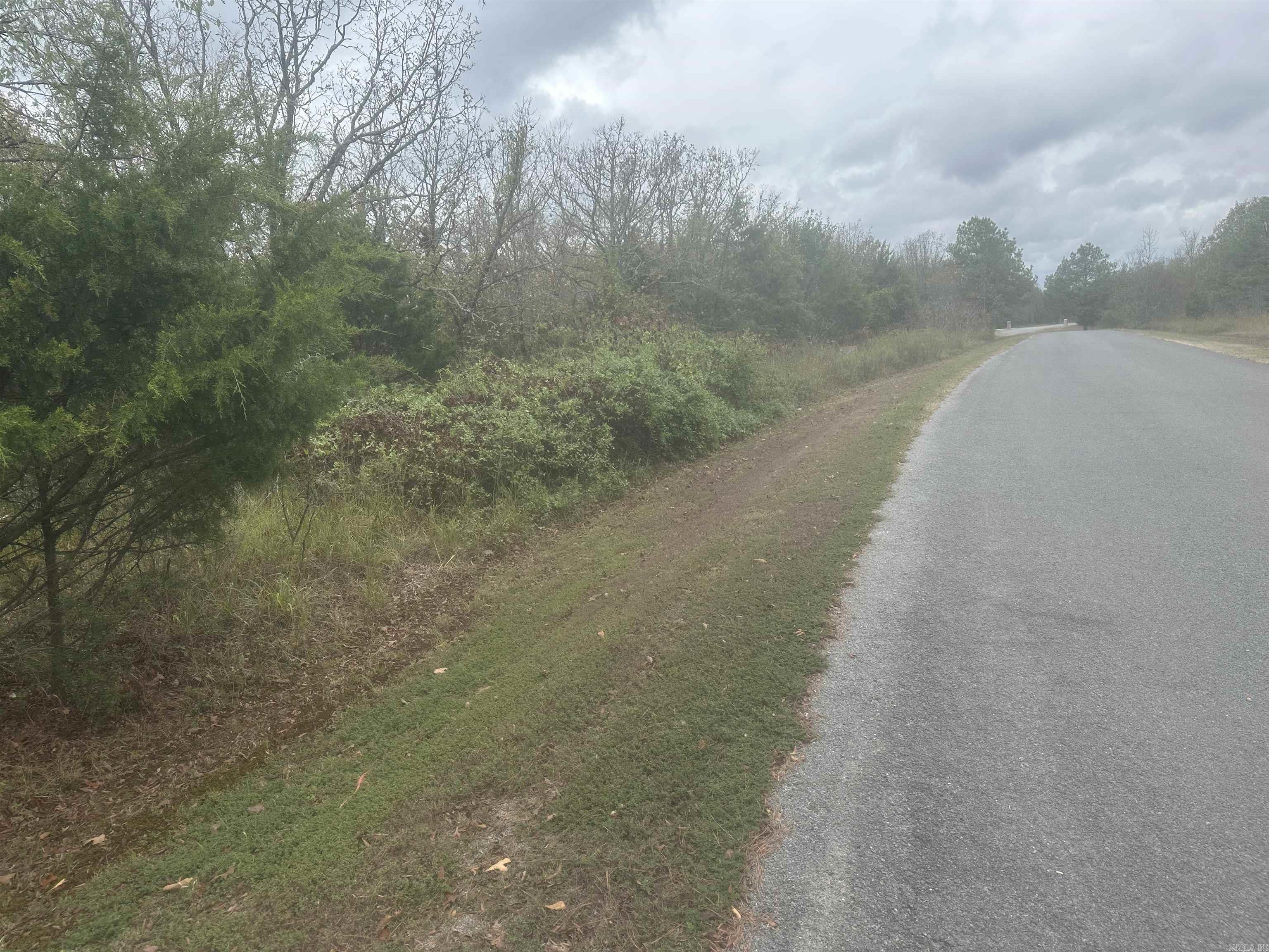 LOT 8  EAGLES NEST  Austin, AR