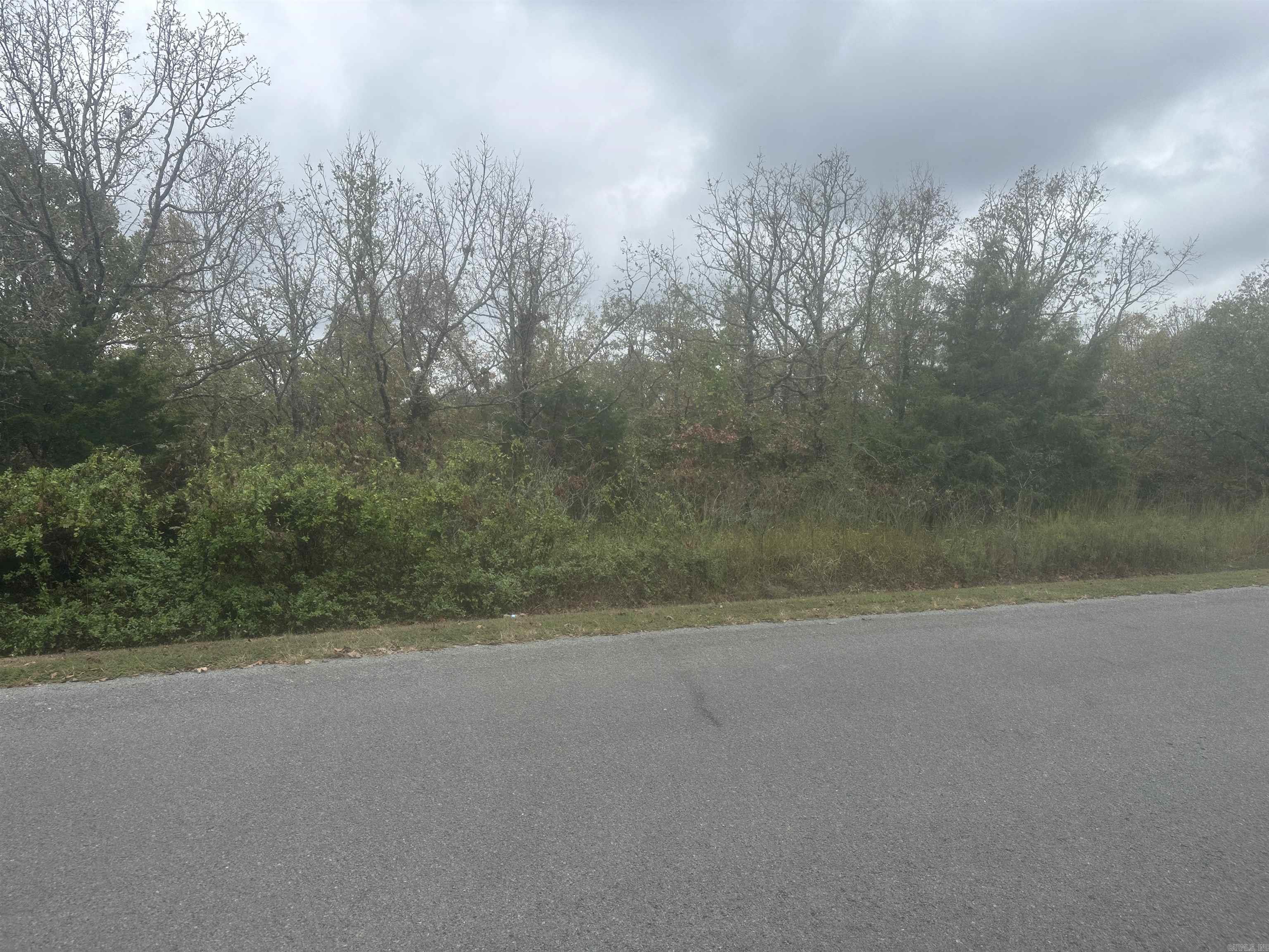 LOT 8  EAGLES NEST  Austin, AR