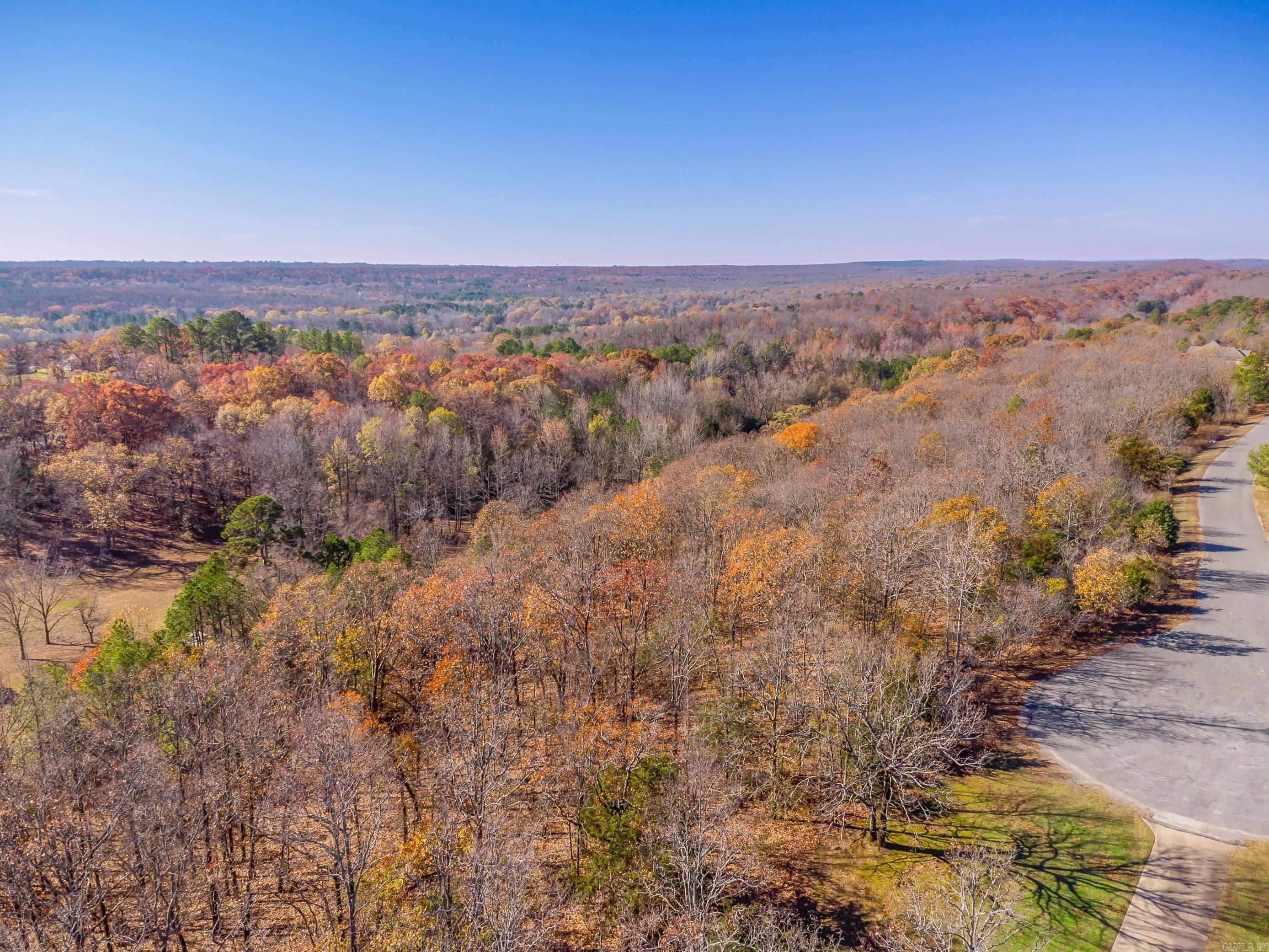 LOT 8  EAGLES NEST  Austin, AR