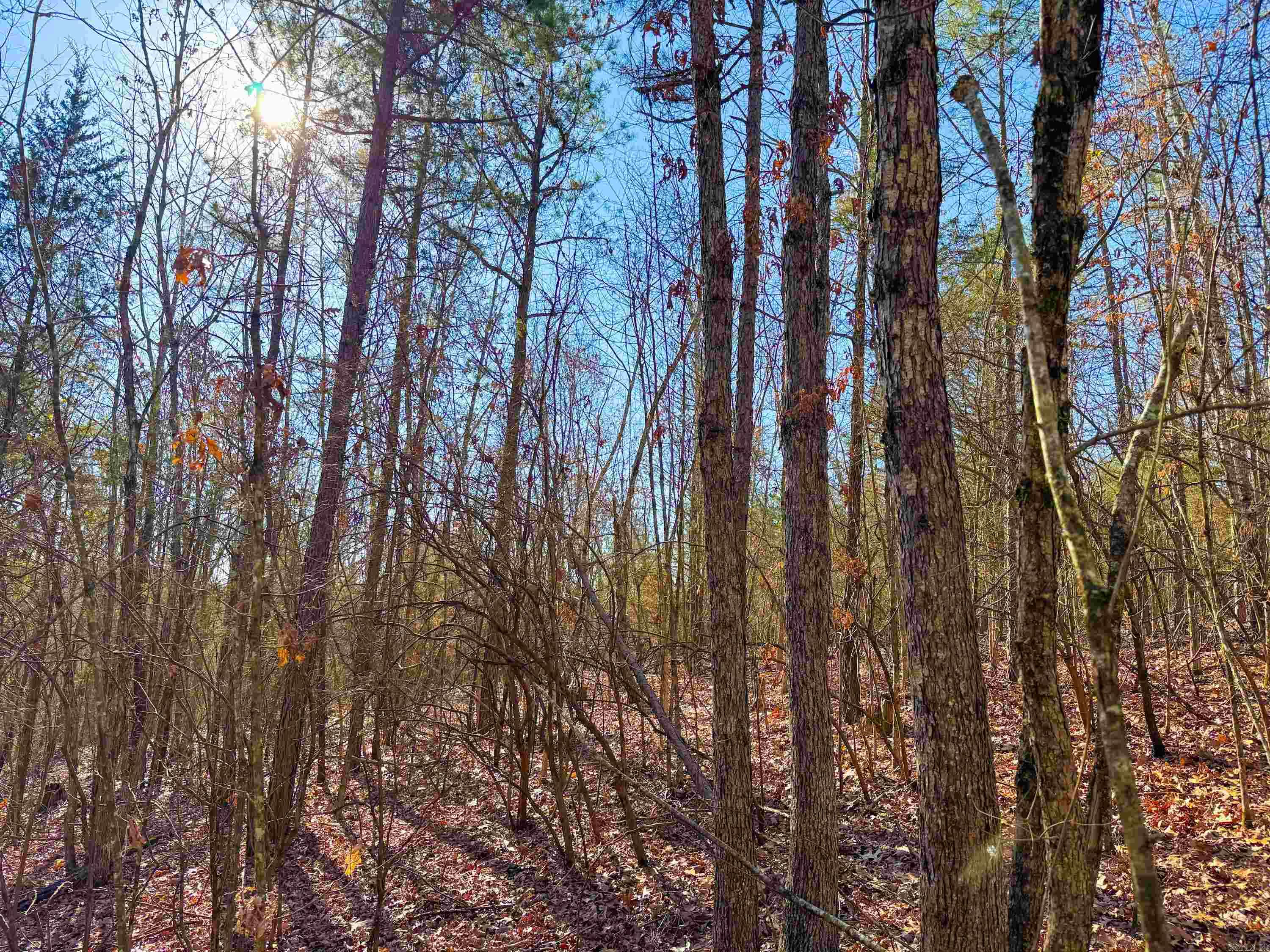 370  Guy  Quitman, AR