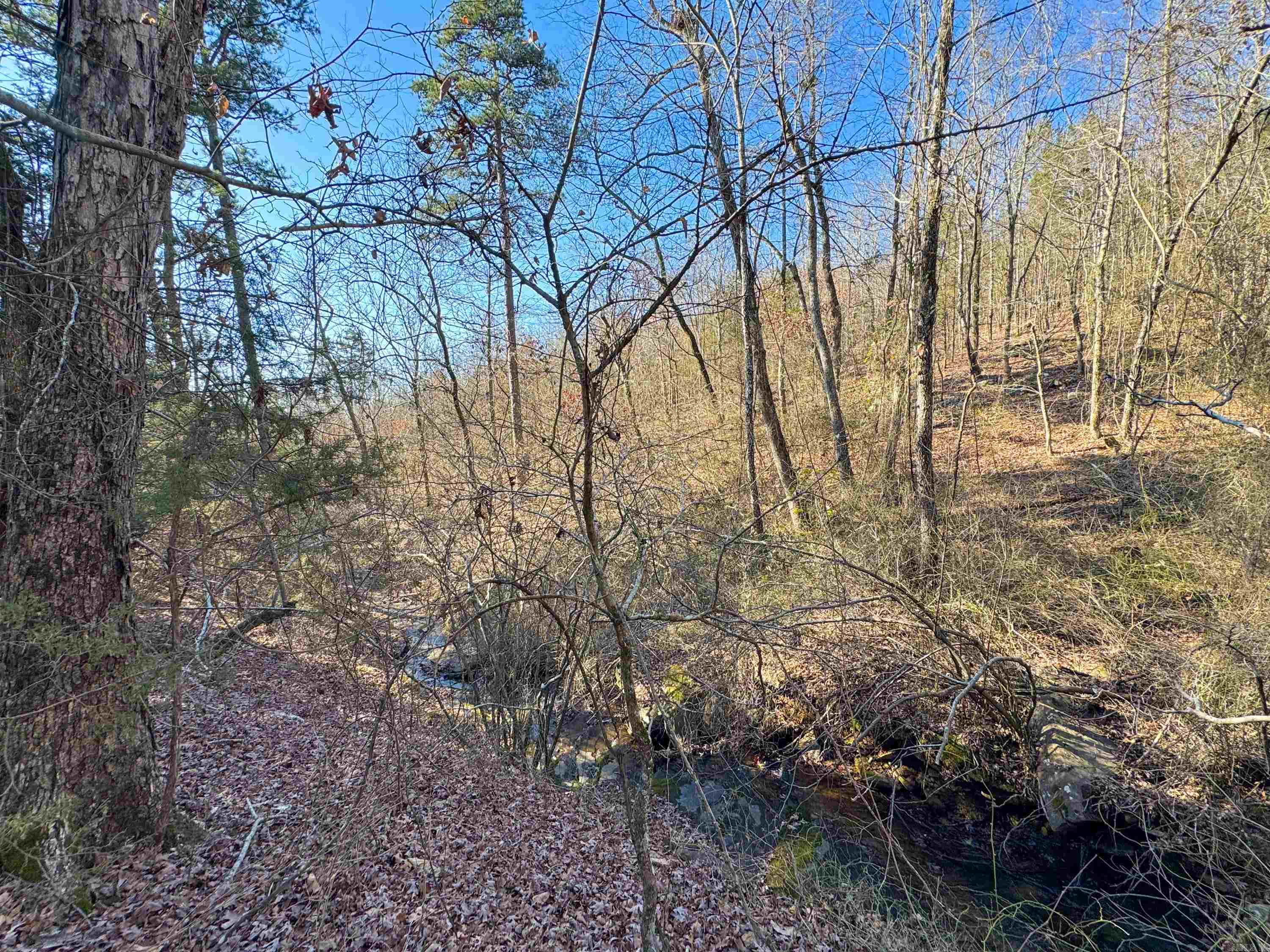 370  Guy  Quitman, AR