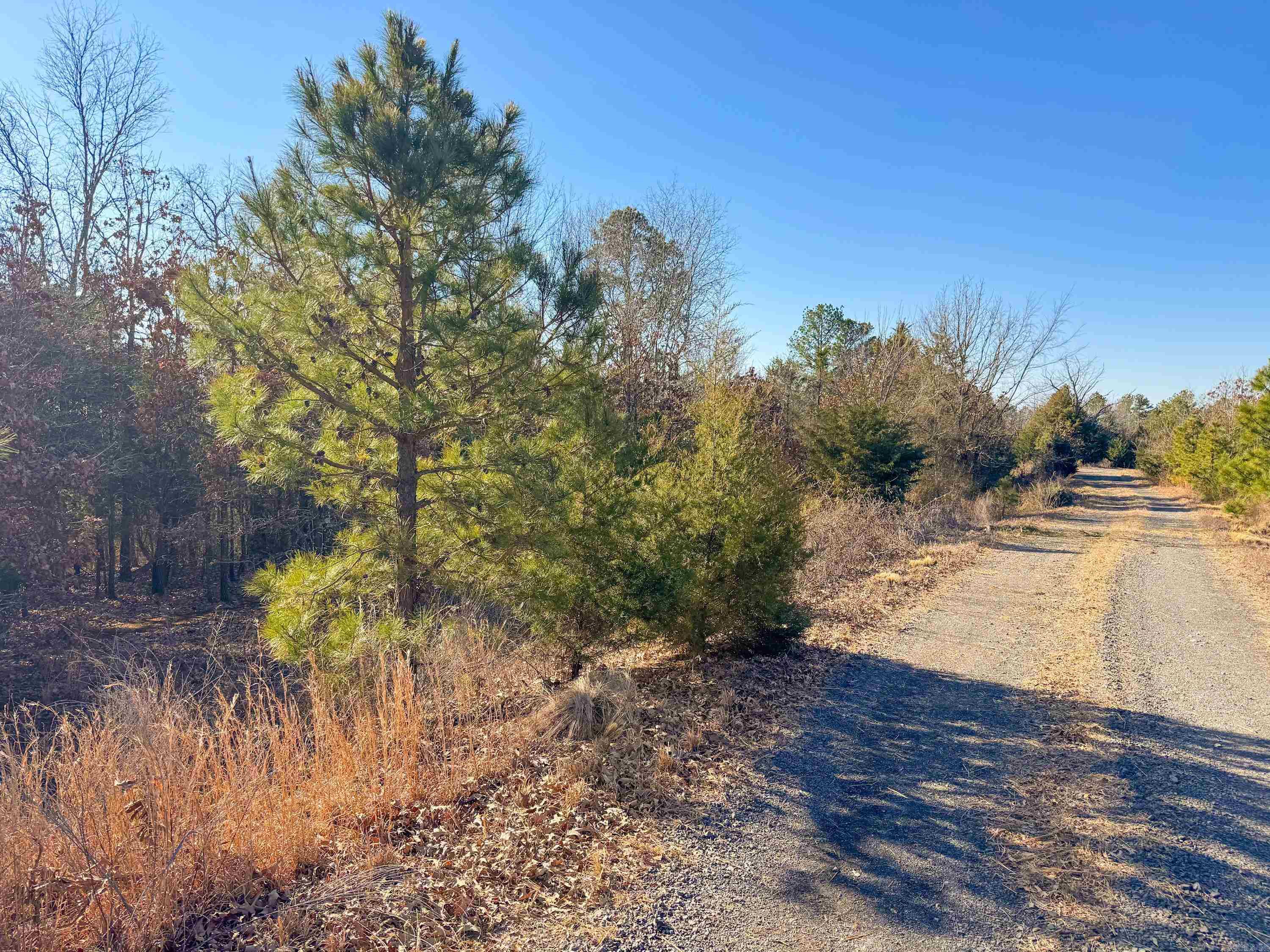 370  Guy  Quitman, AR