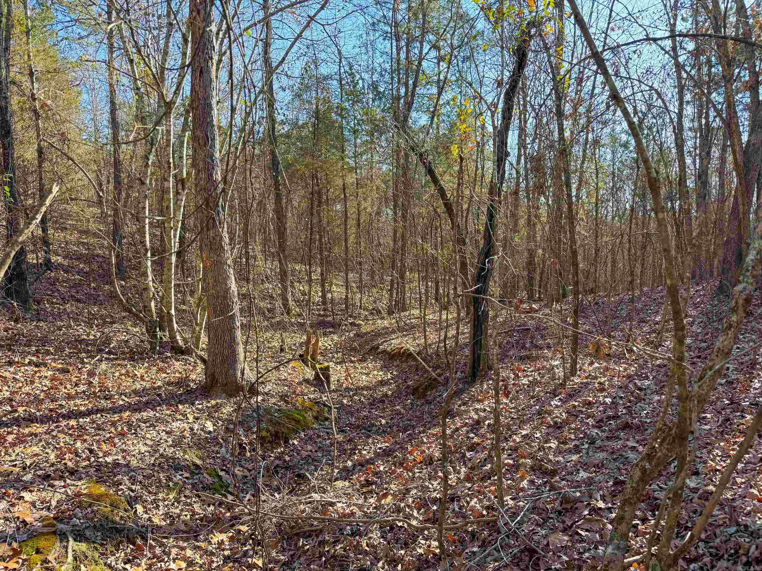 370  Guy  Quitman, AR