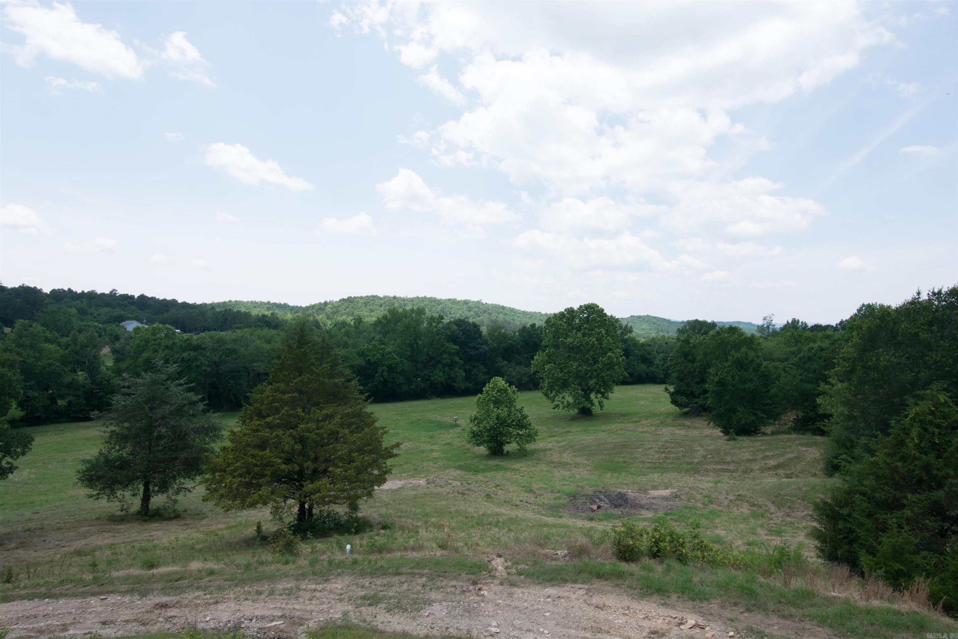 127 Lark Lane  Mena, AR