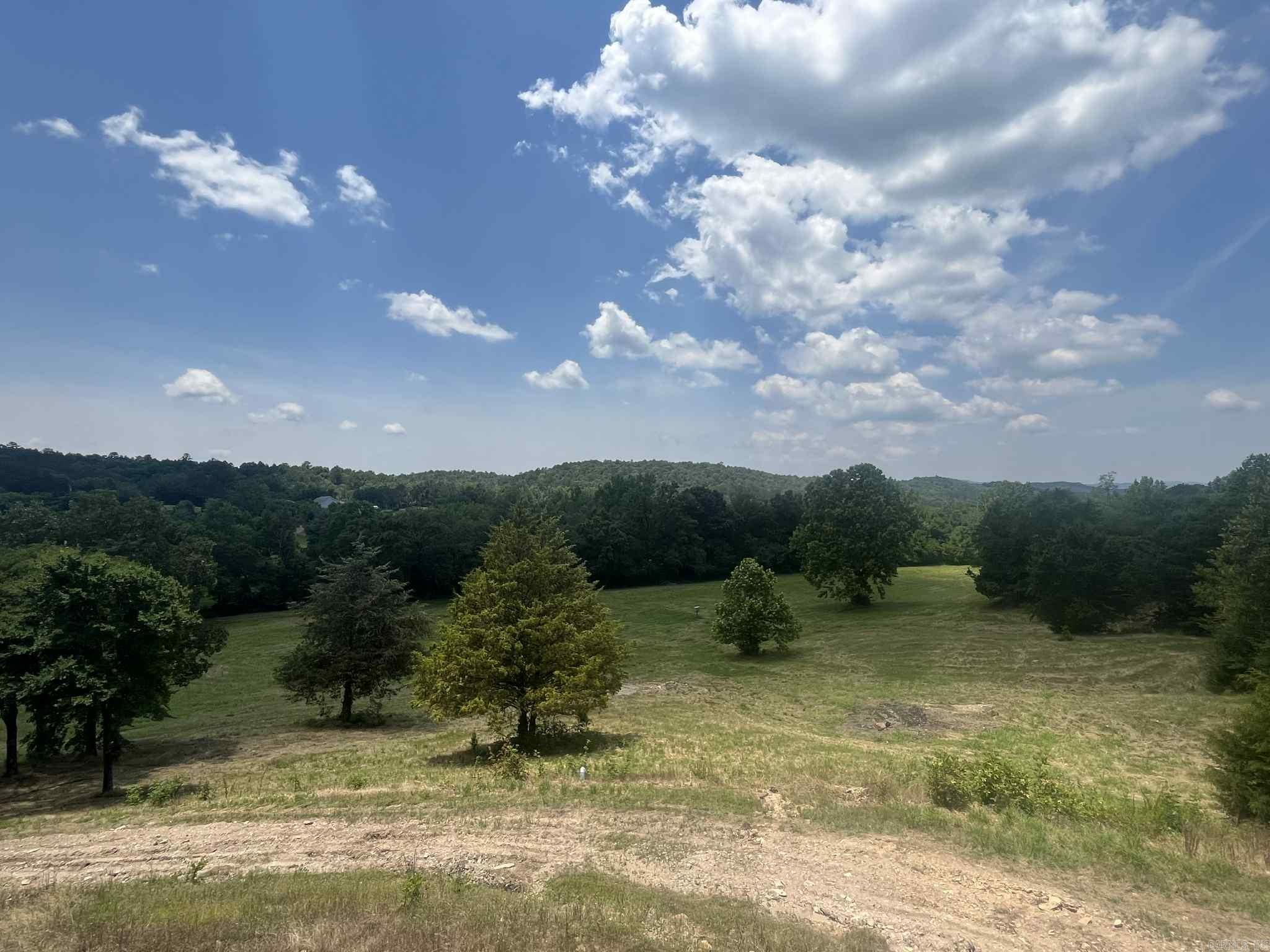 127 Lark Lane  Mena, AR