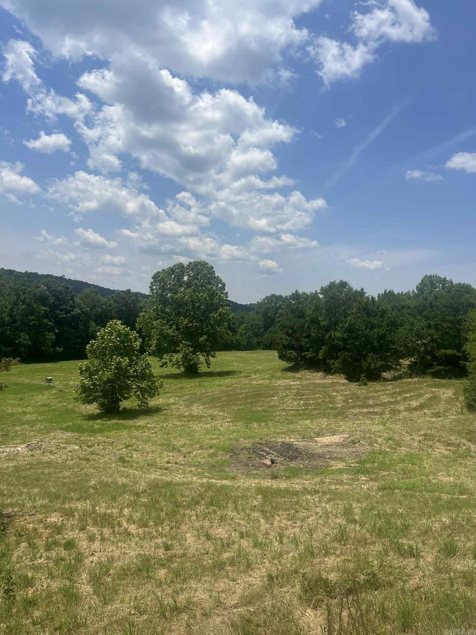 127 Lark Lane  Mena, AR