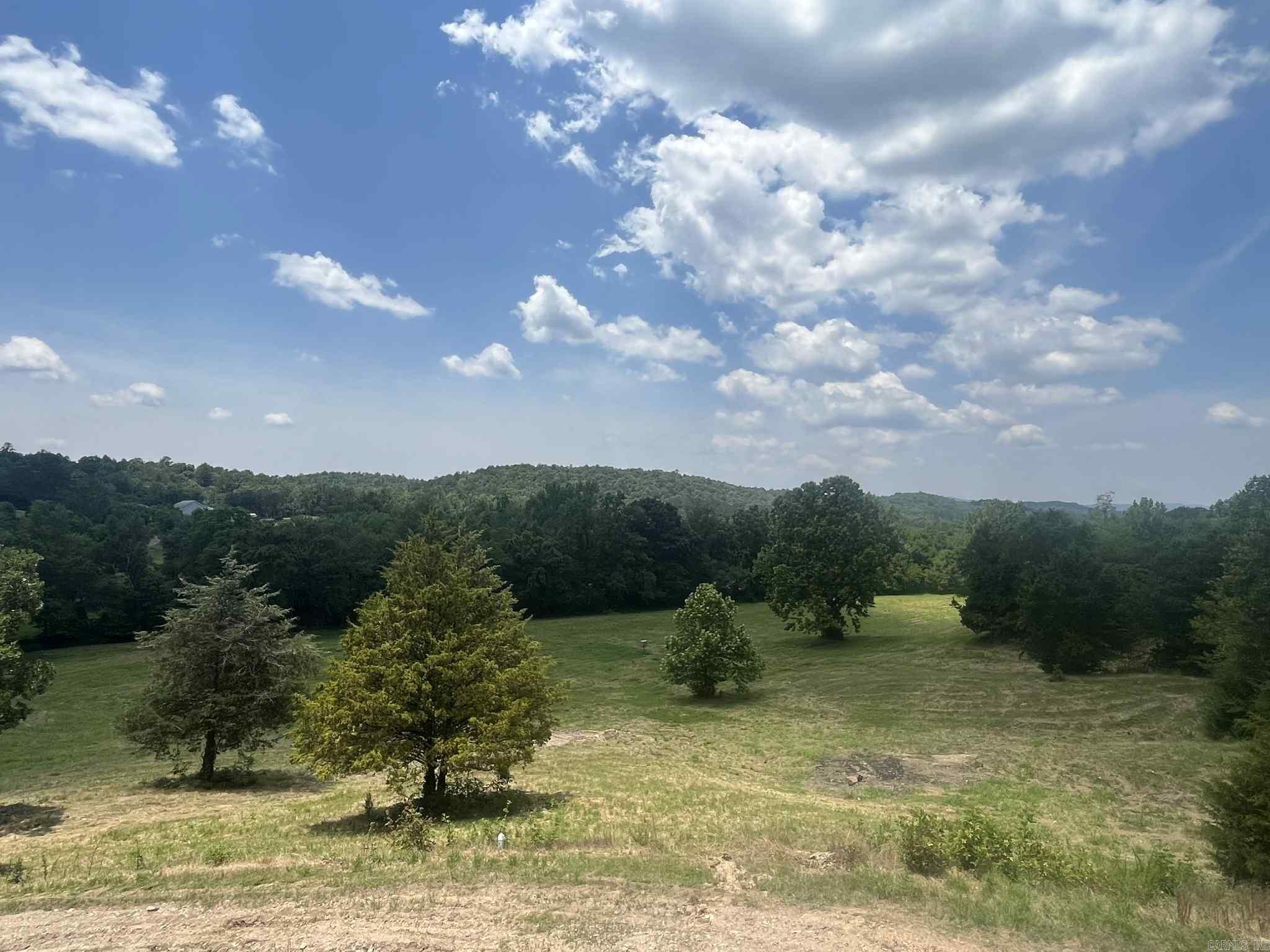 127 Lark Lane  Mena, AR