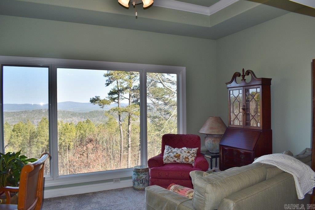 72  Mansilla  Hot Springs Village, AR