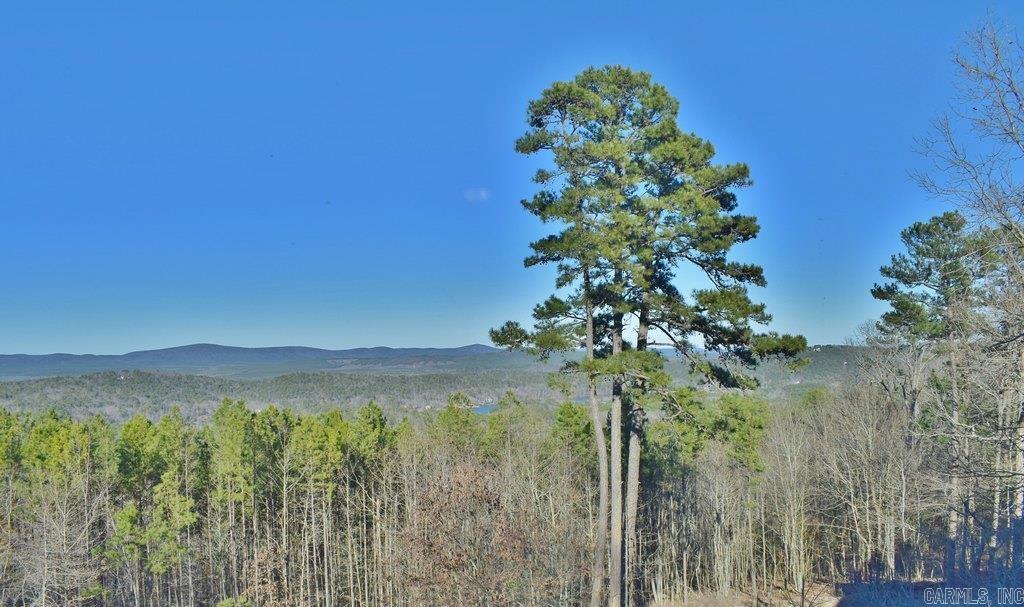 72  Mansilla  Hot Springs Village, AR