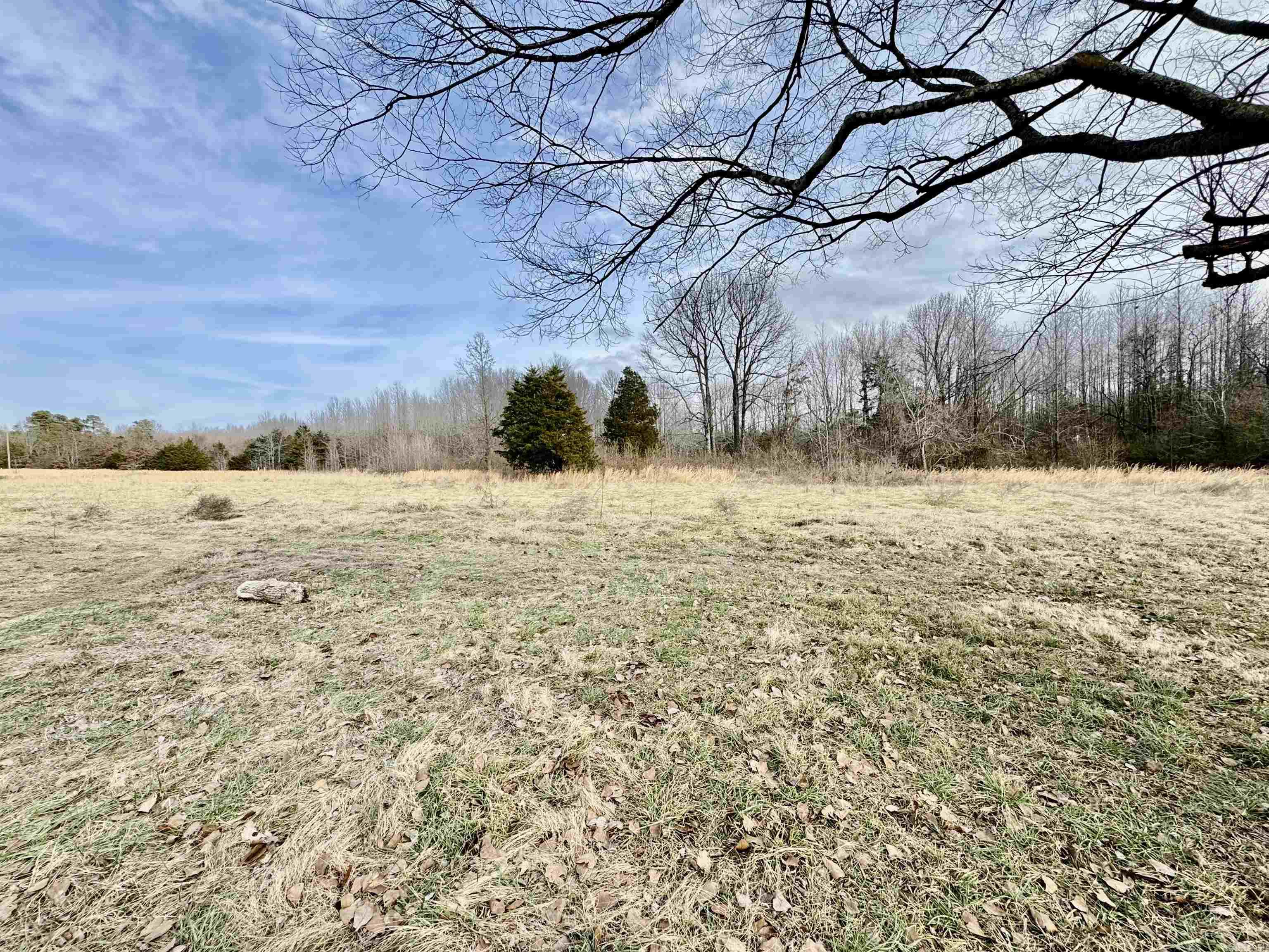 567  Daffodil Rd  Romance, AR
