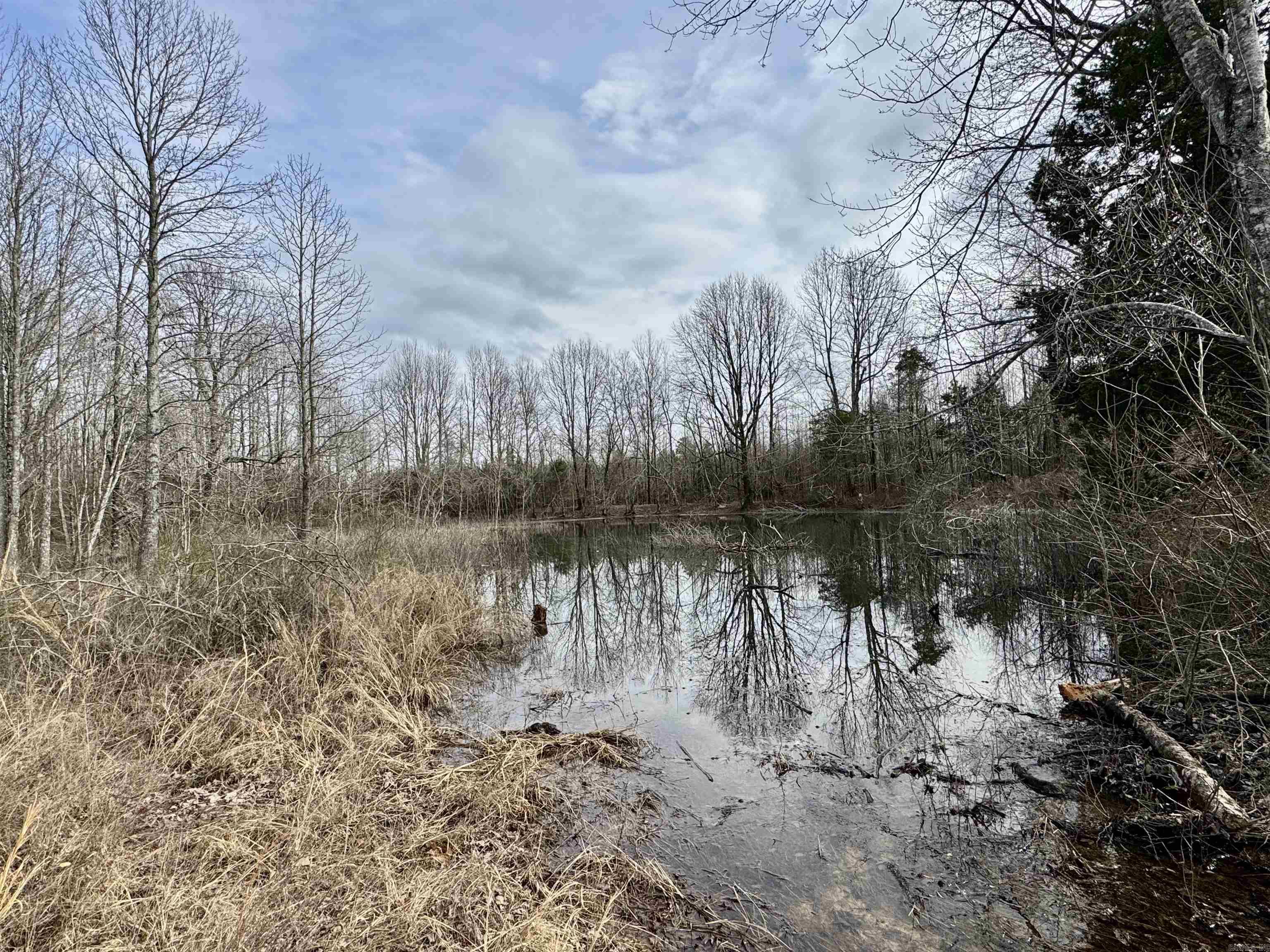567  Daffodil Rd  Romance, AR