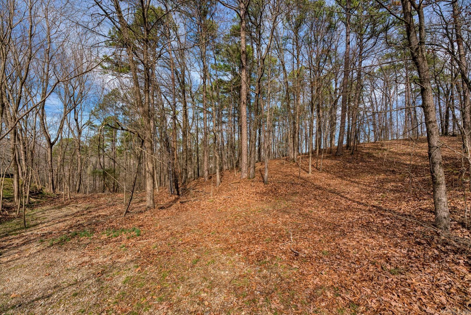144 & 158 A&B  Isaac Lane  Hot Springs, AR