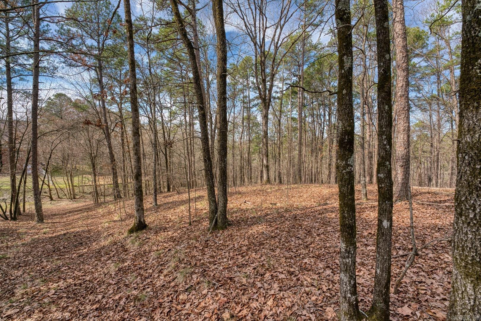 144 & 158 A&B  Isaac Lane  Hot Springs, AR