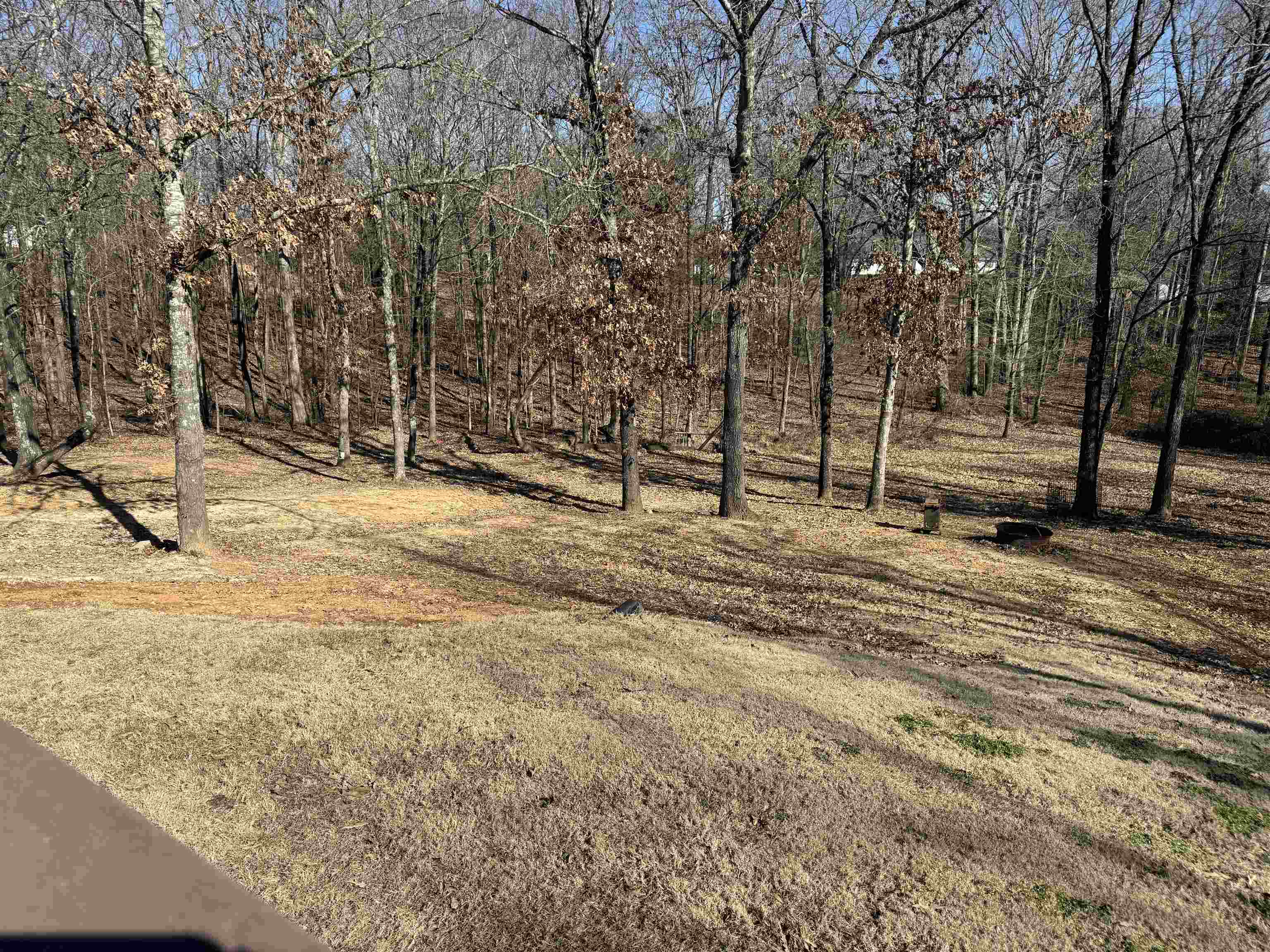 770  County Road 461  Jonesboro, AR