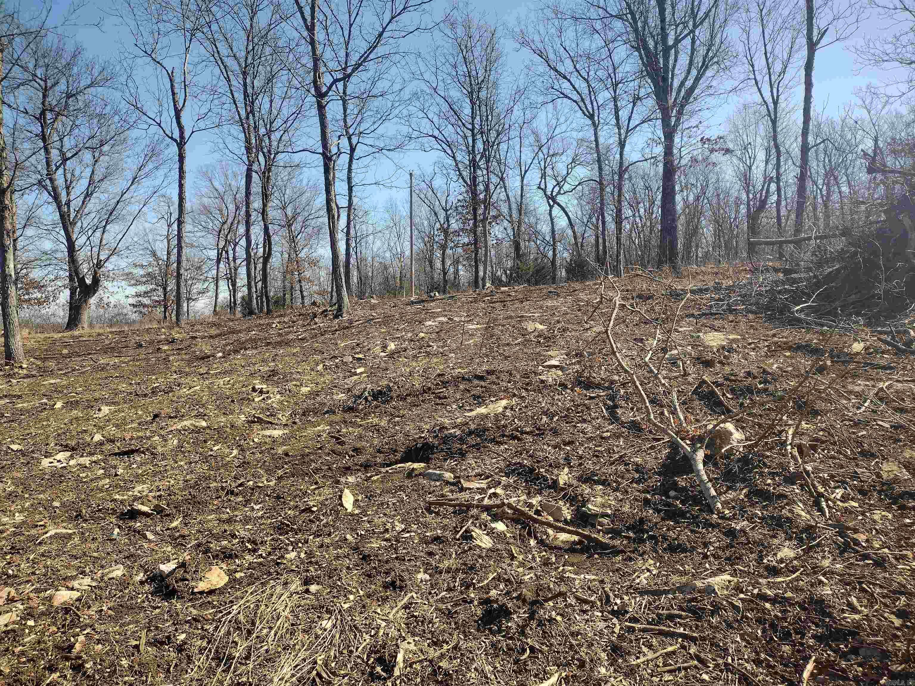 0  Harness RD  Mountain View, AR
