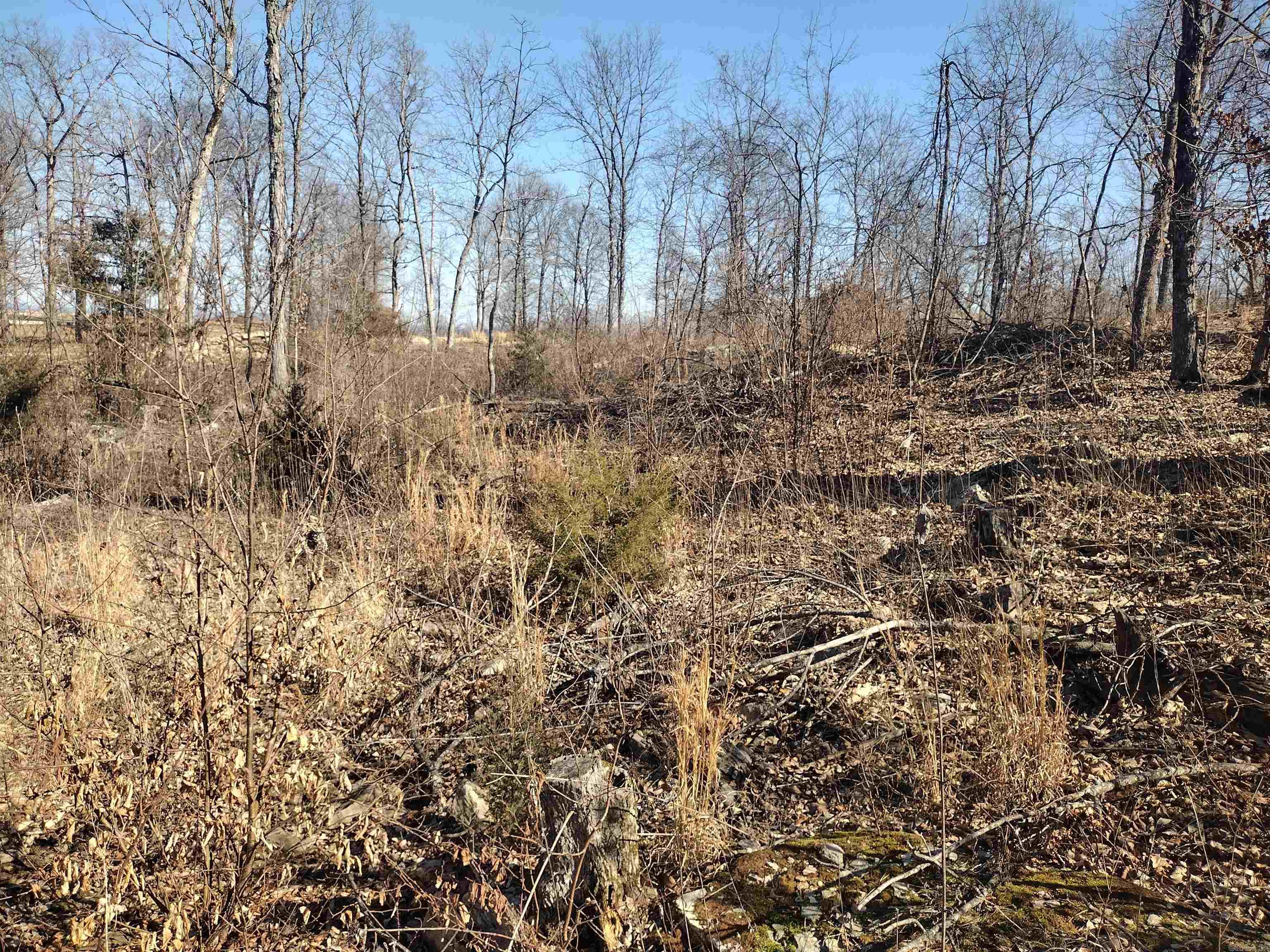 0  Harness RD  Mountain View, AR