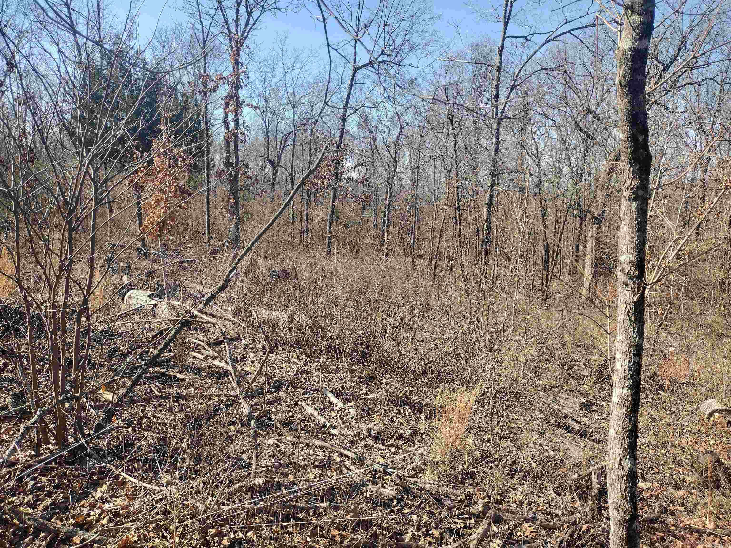 0  Harness RD  Mountain View, AR