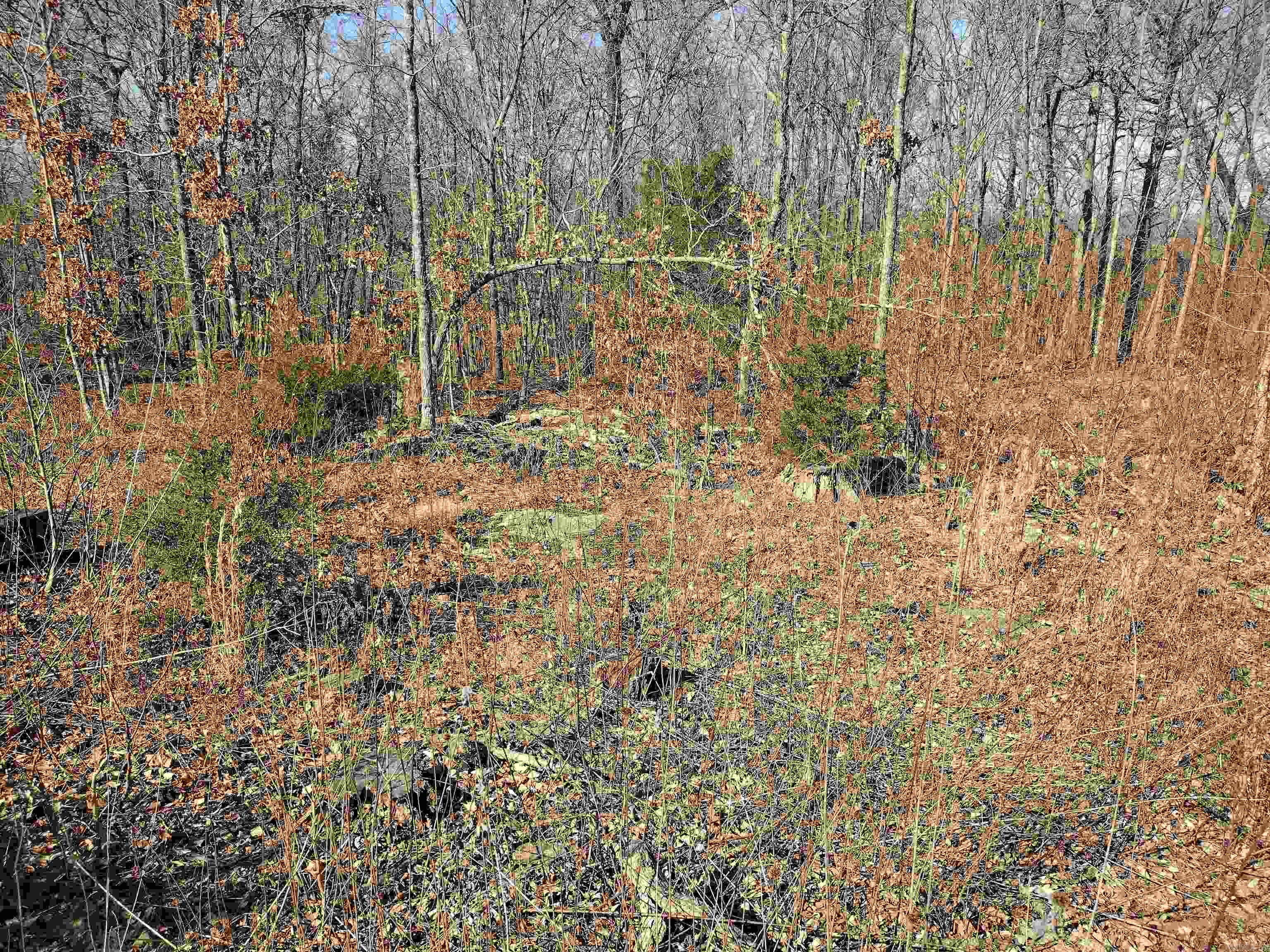 0  Harness RD  Mountain View, AR