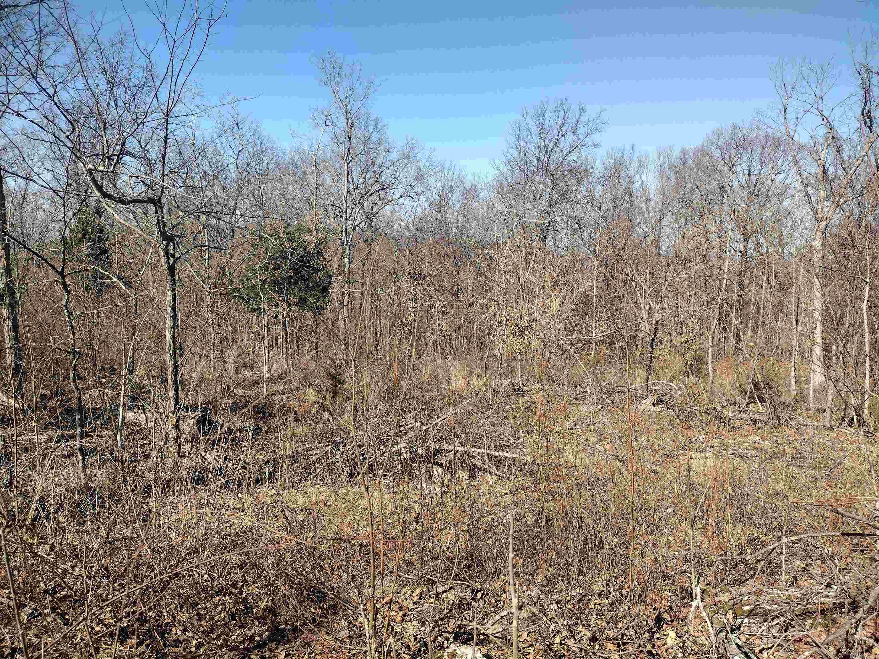 0  Harness RD  Mountain View, AR