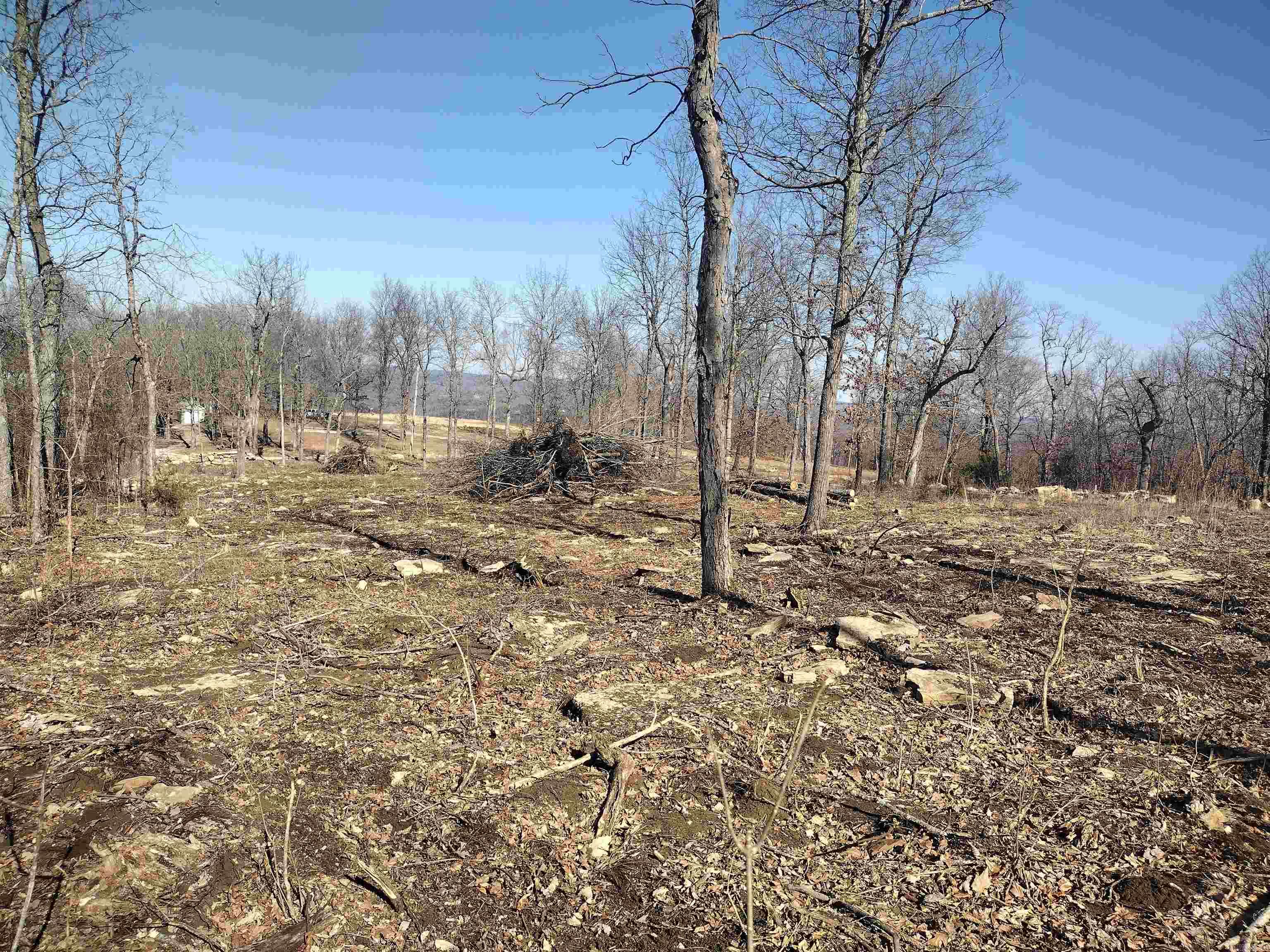 0  Harness RD  Mountain View, AR