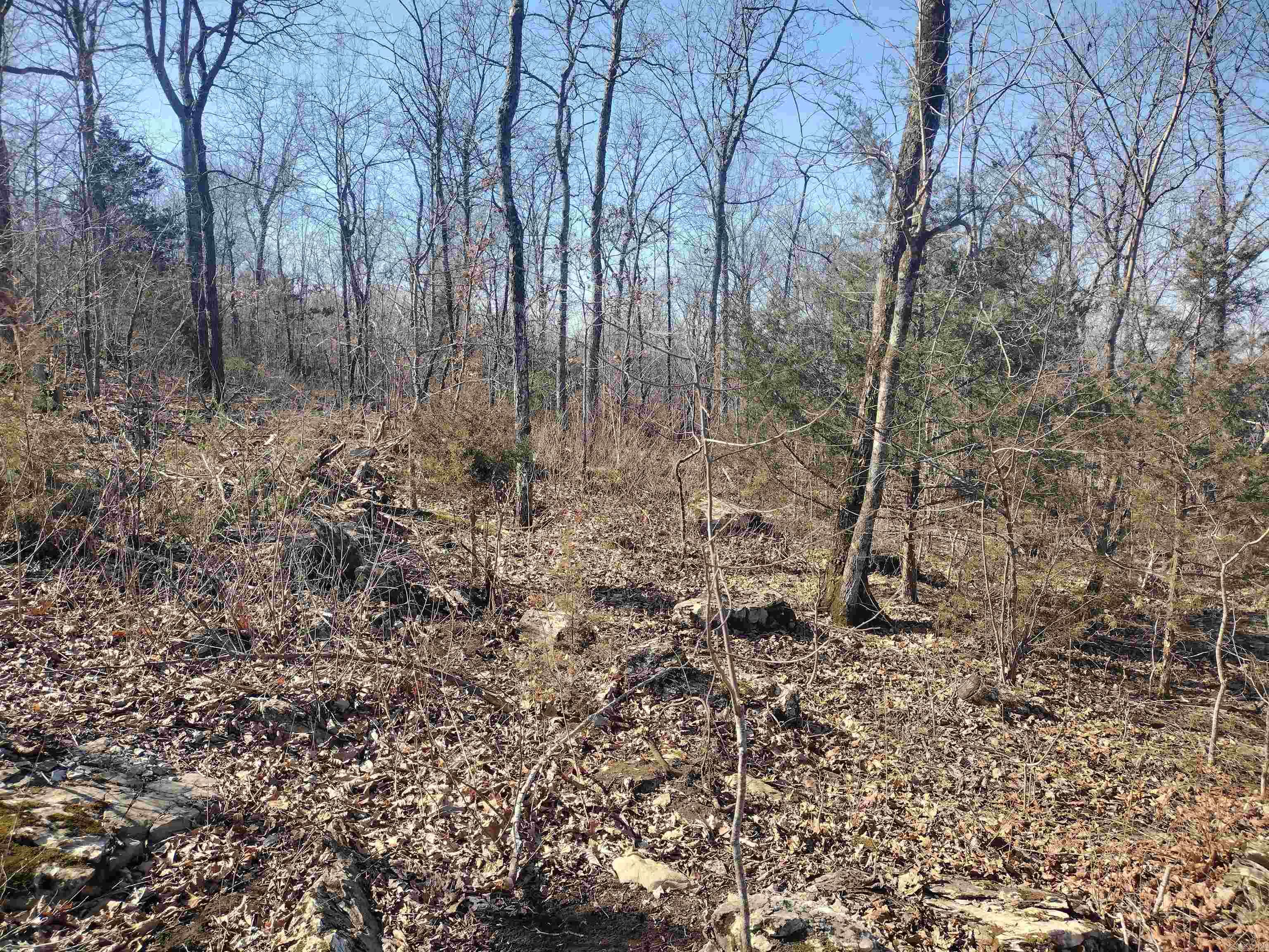 0  Harness RD  Mountain View, AR