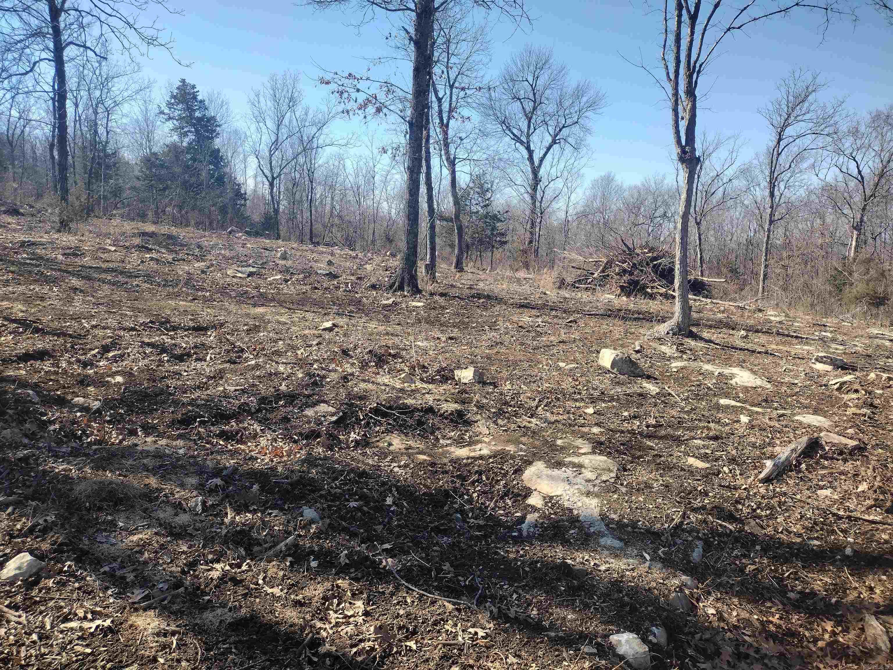 0  Harness RD  Mountain View, AR